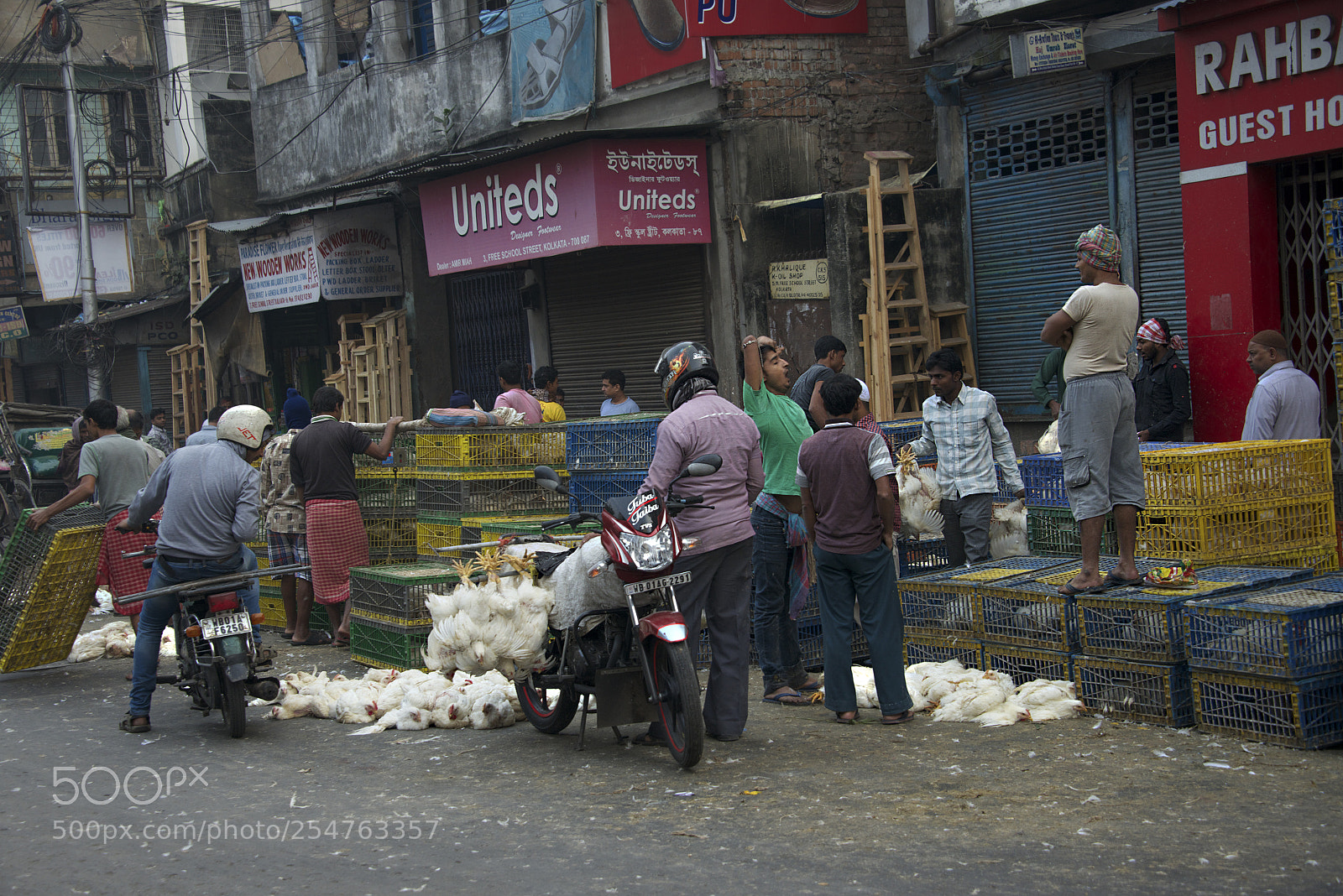 Nikon D800E sample photo. Chicken sales in kolkata photography