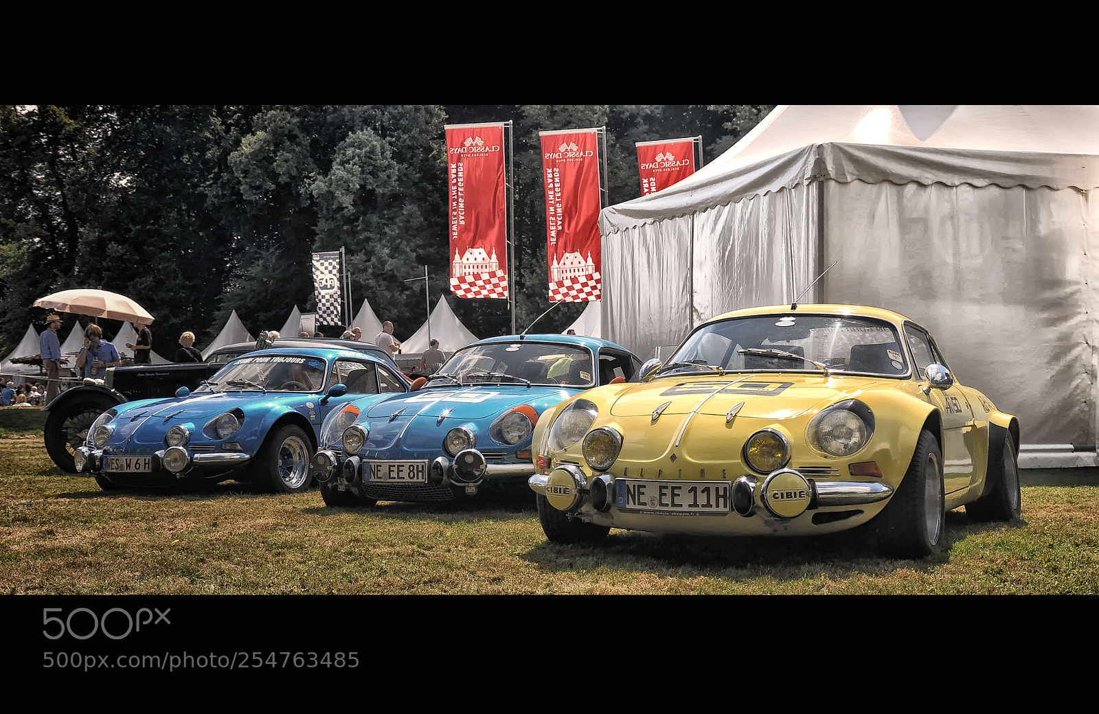 Nikon D90 sample photo. Classic alpine a110 photography