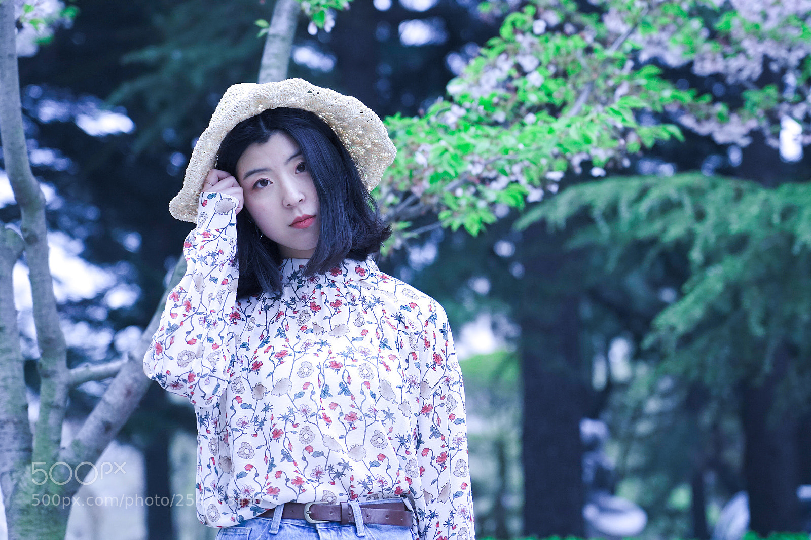 Sony a7 III sample photo. Untitled photography