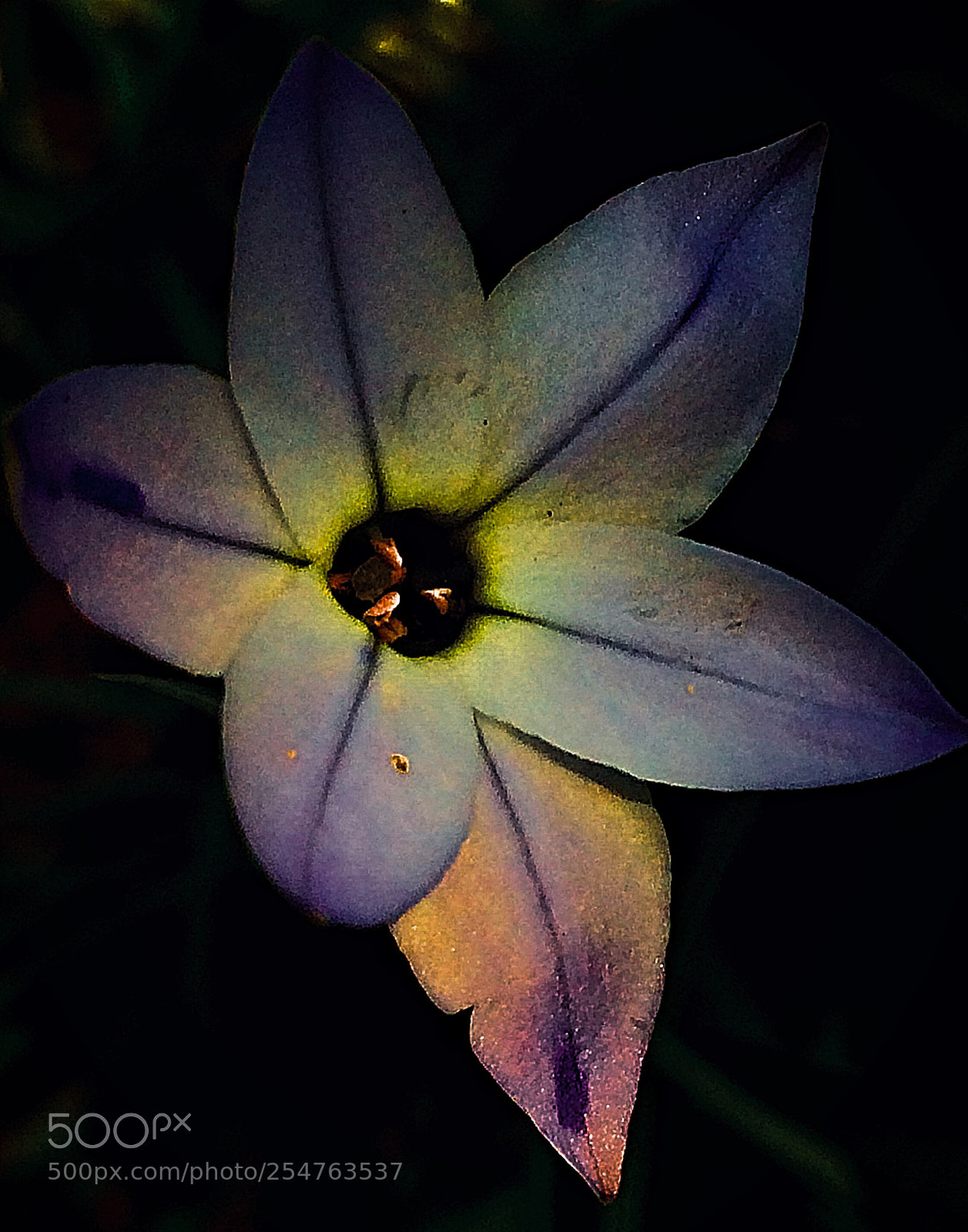Apple iPhone 5s sample photo. Light in the dark  photography