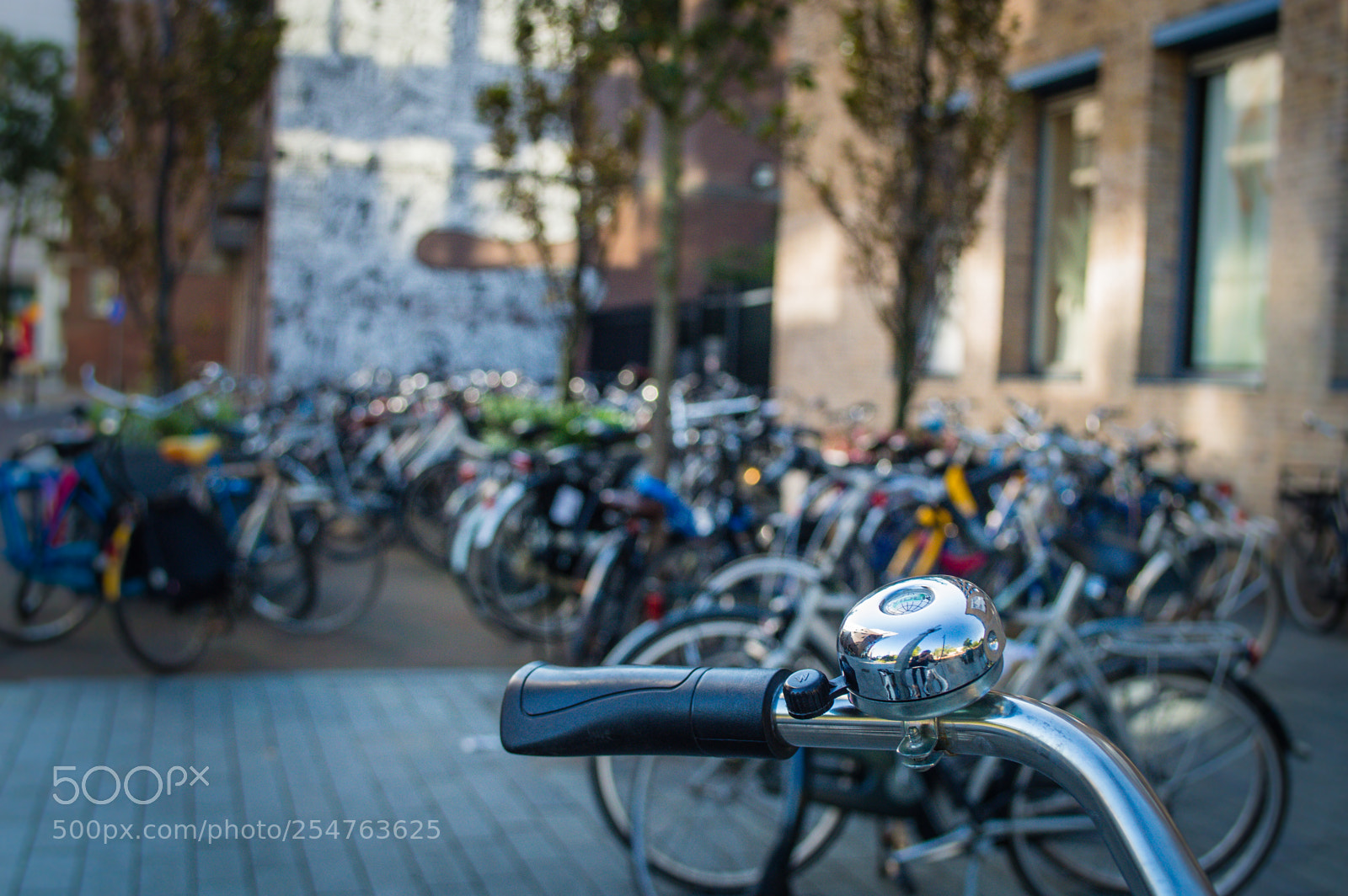 Nikon D3200 sample photo. Ring my bell photography