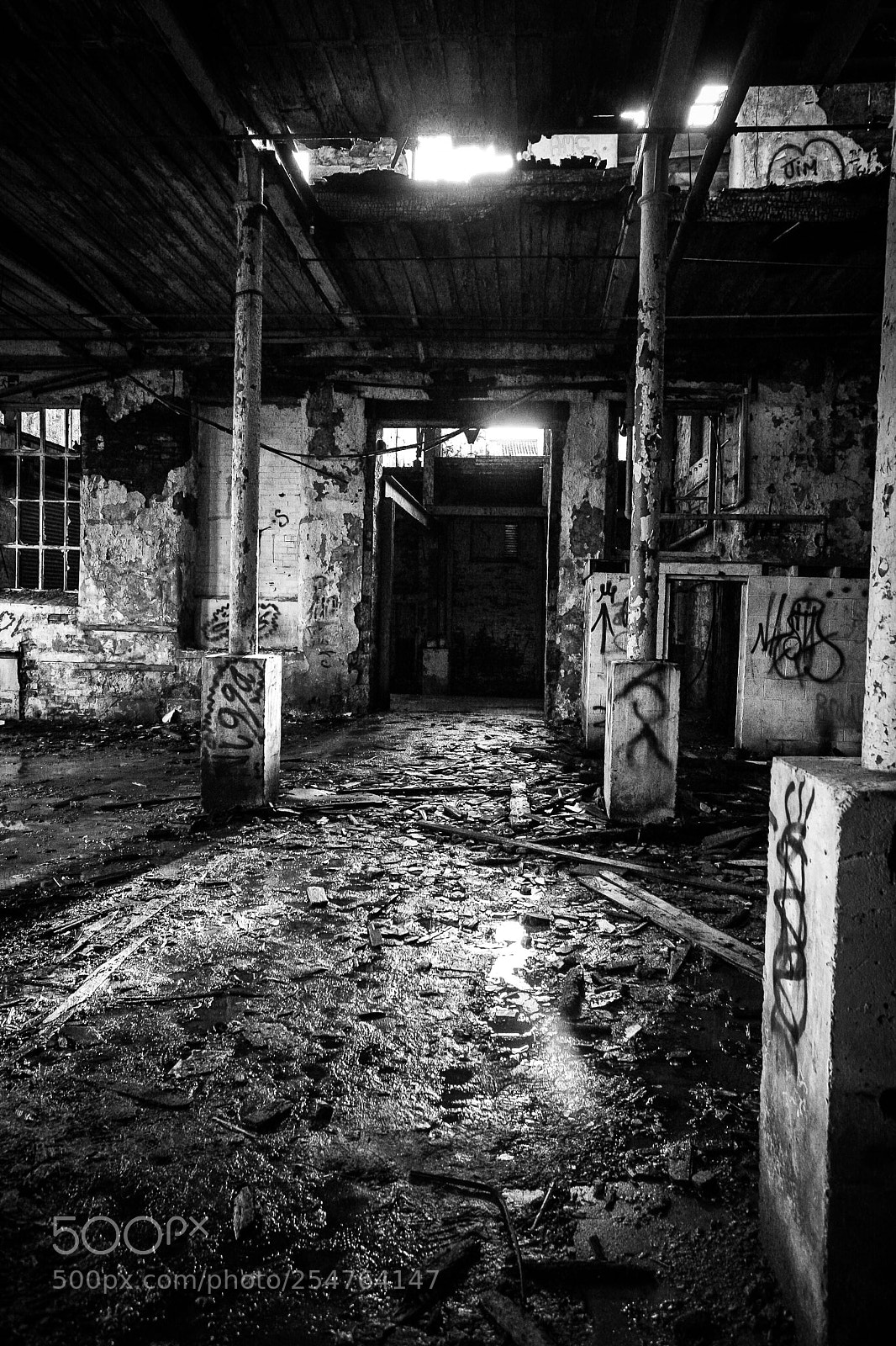 Canon EOS 5D sample photo. Jan burnley photography