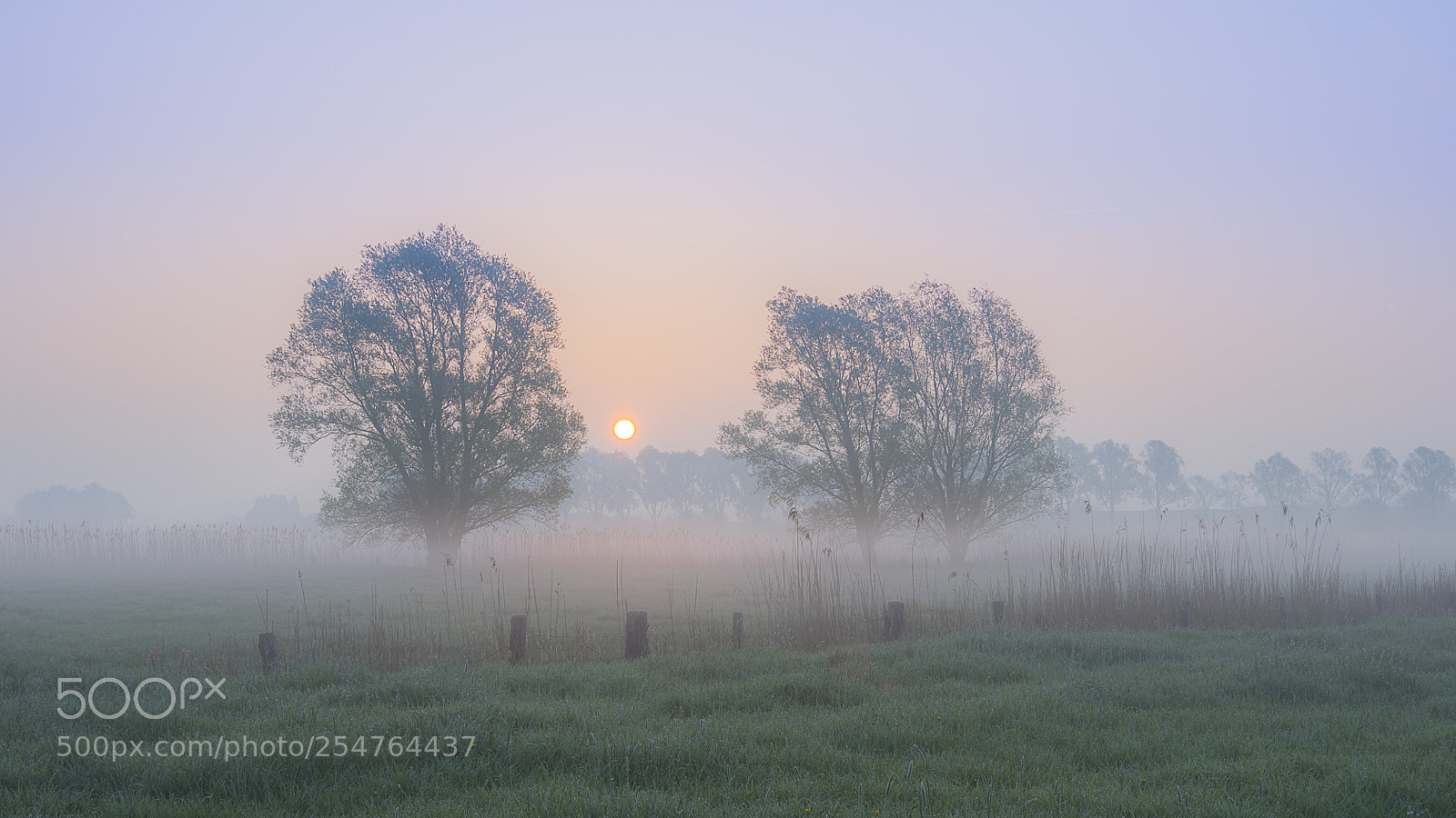 Olympus OM-D E-M1 Mark II sample photo. Morning has broken photography