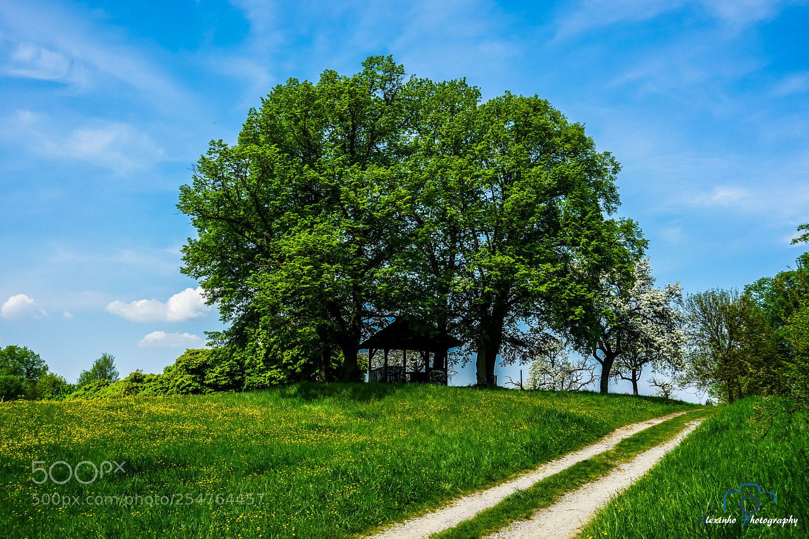 Sony a6000 sample photo. Beautiful nature photography