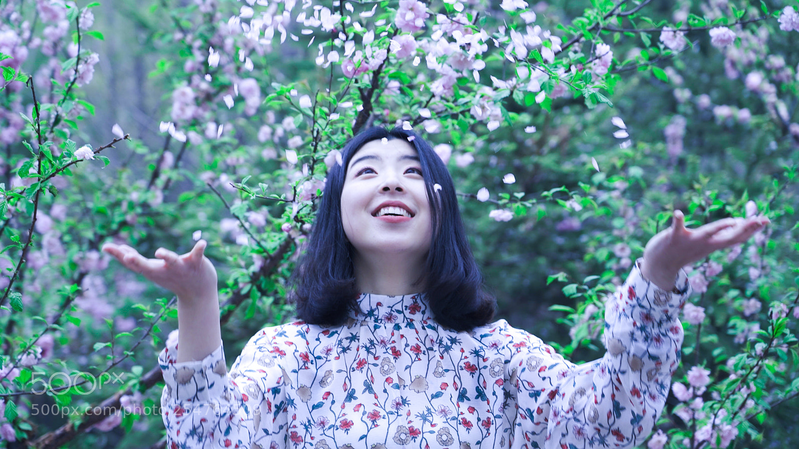 Sony a7 III sample photo. Untitled photography