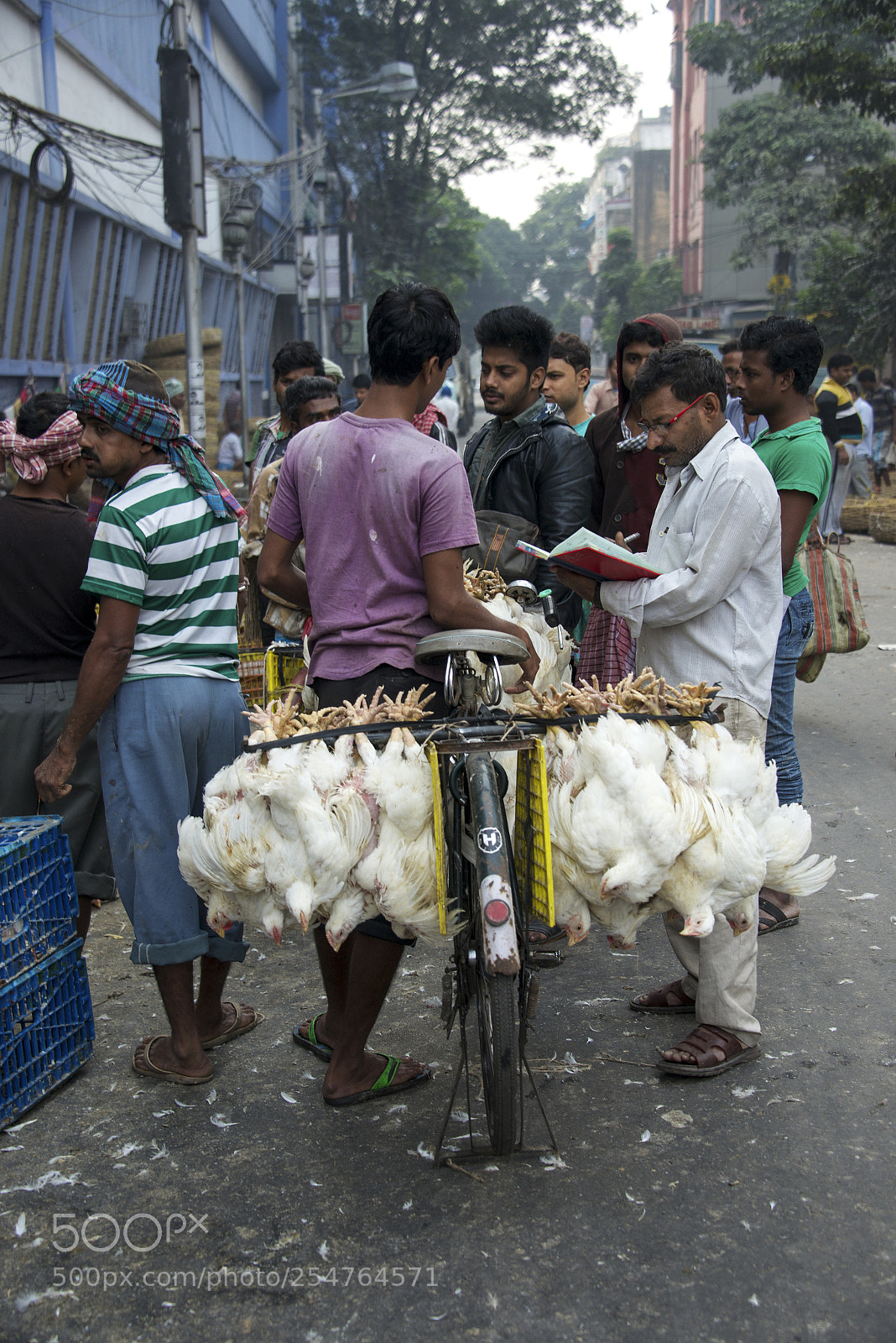 Nikon D800E sample photo. Chicken sales from bicycle photography