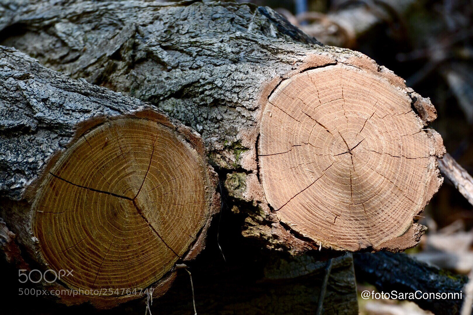 Nikon D7200 sample photo. Anelli photography
