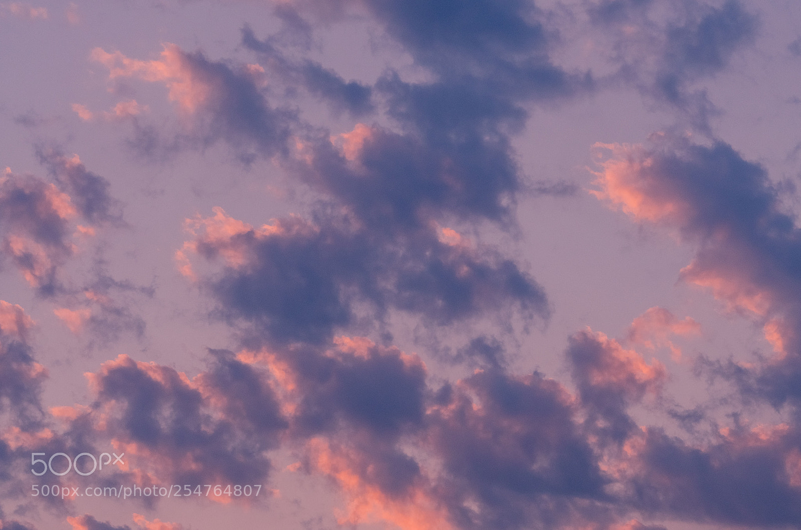 Nikon D7000 sample photo. Vanilla sky photography