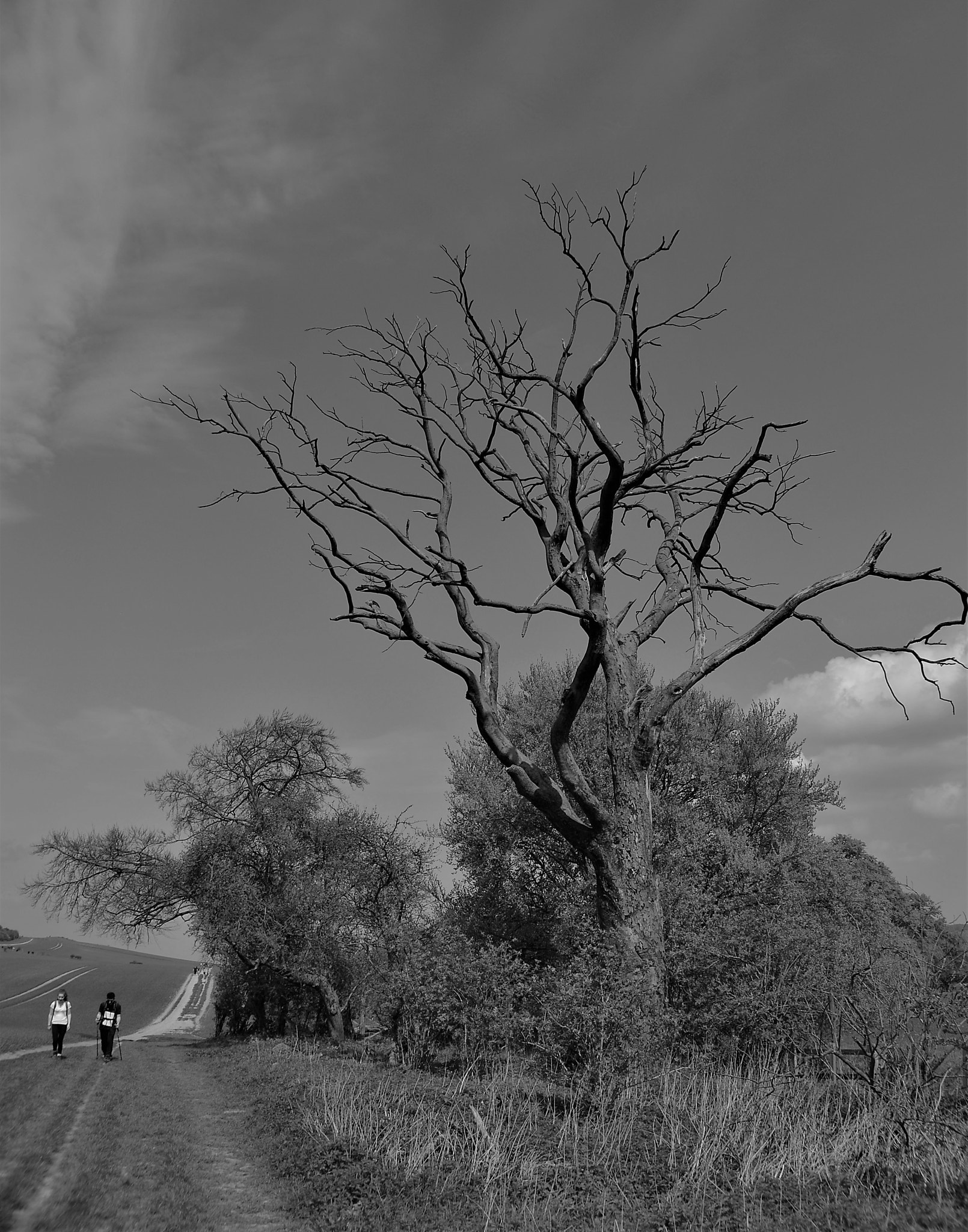 Nikon D3100 sample photo. A mute witness photography