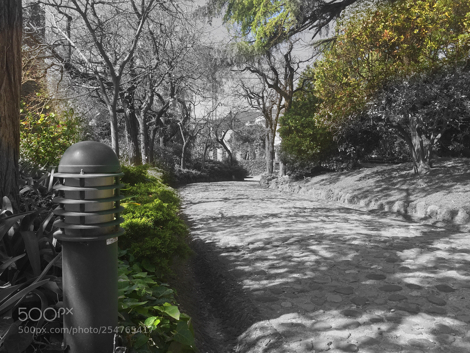 Apple iPhone 6 sample photo. Sunny pathway photography