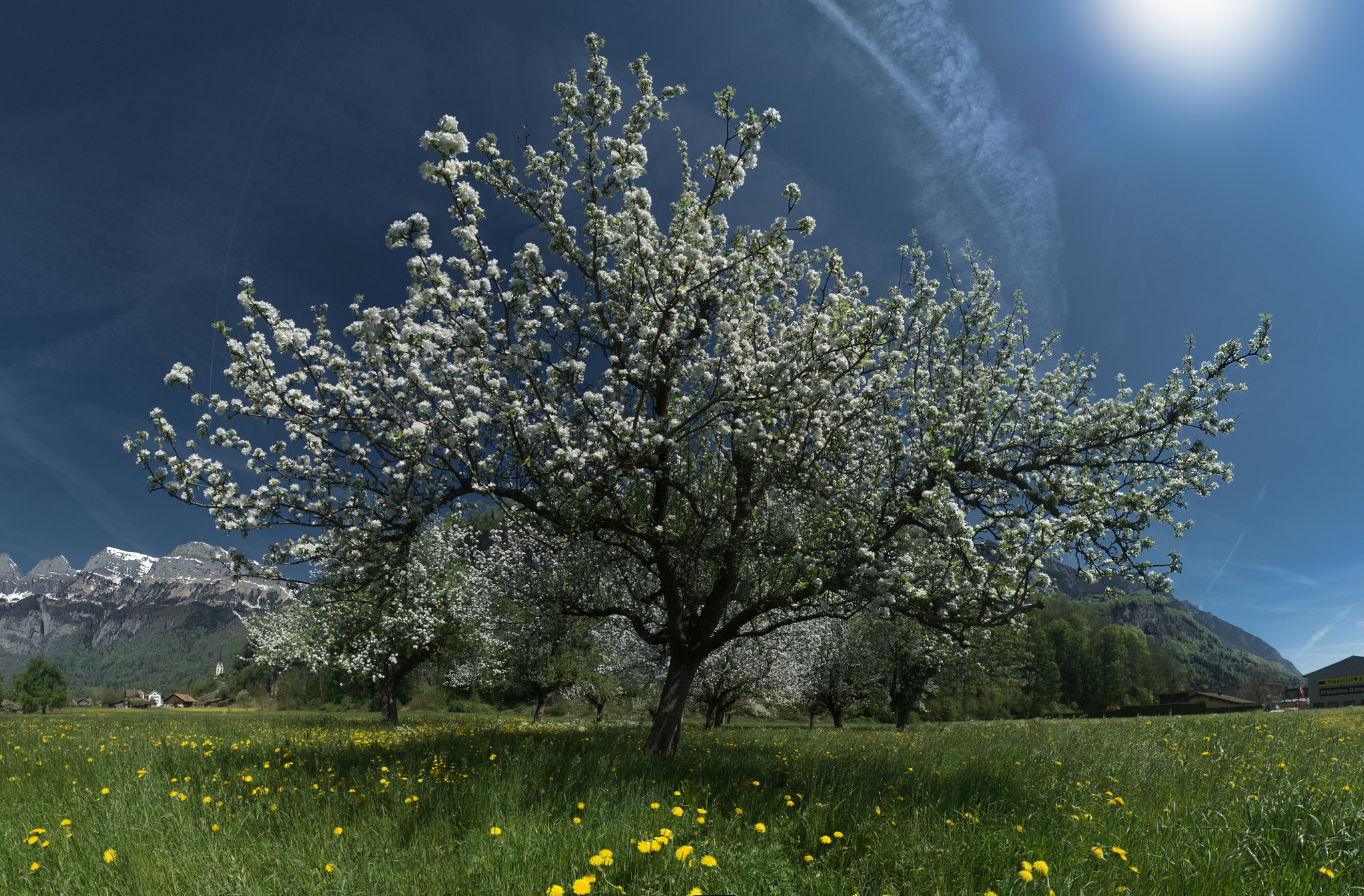 Nikon D300 sample photo. Spring photography