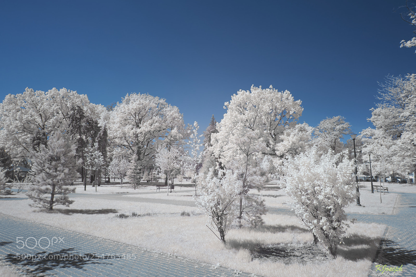 Sony a6000 sample photo. Winter in spring. photography