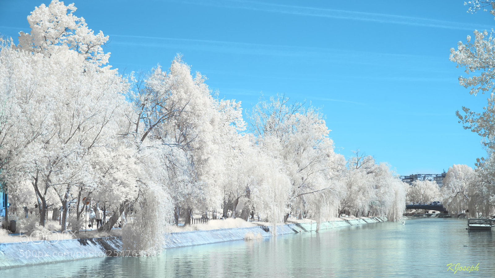 Sony a6000 sample photo. Winter in spring. photography