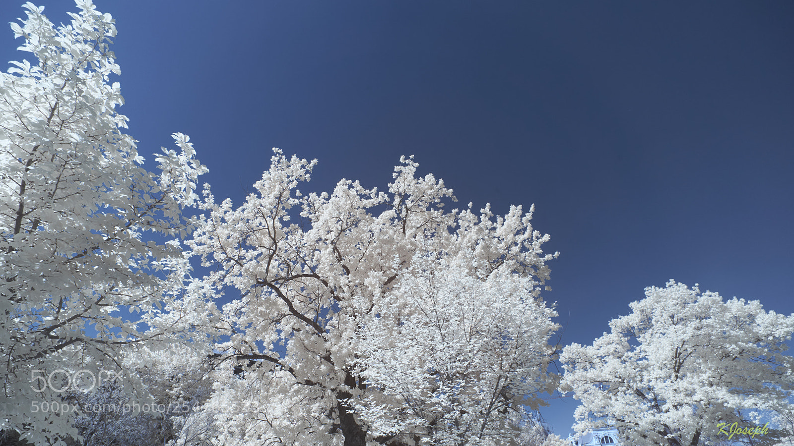 Sony a6000 sample photo. Winter in spring. photography