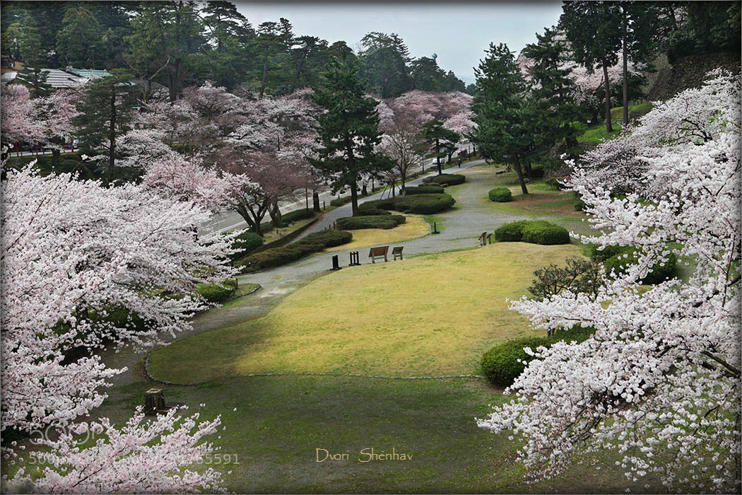 Canon EOS 5D Mark II sample photo. Jap small photography