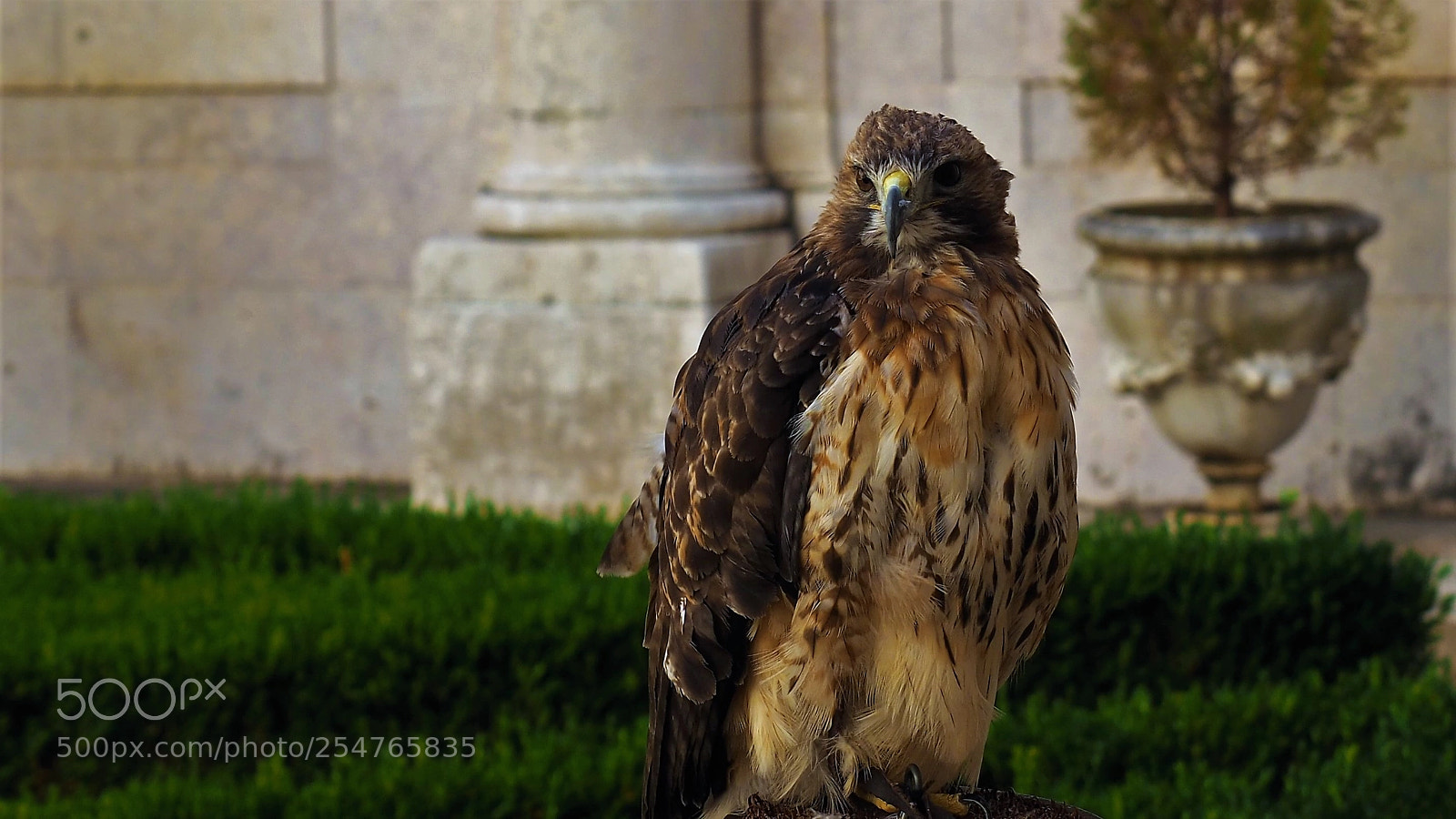 Olympus OM-D E-M10 II sample photo. Mafra portugalia olympus digital photography