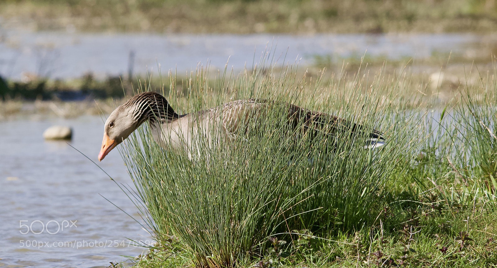 Canon EOS 70D sample photo. Untitled photography