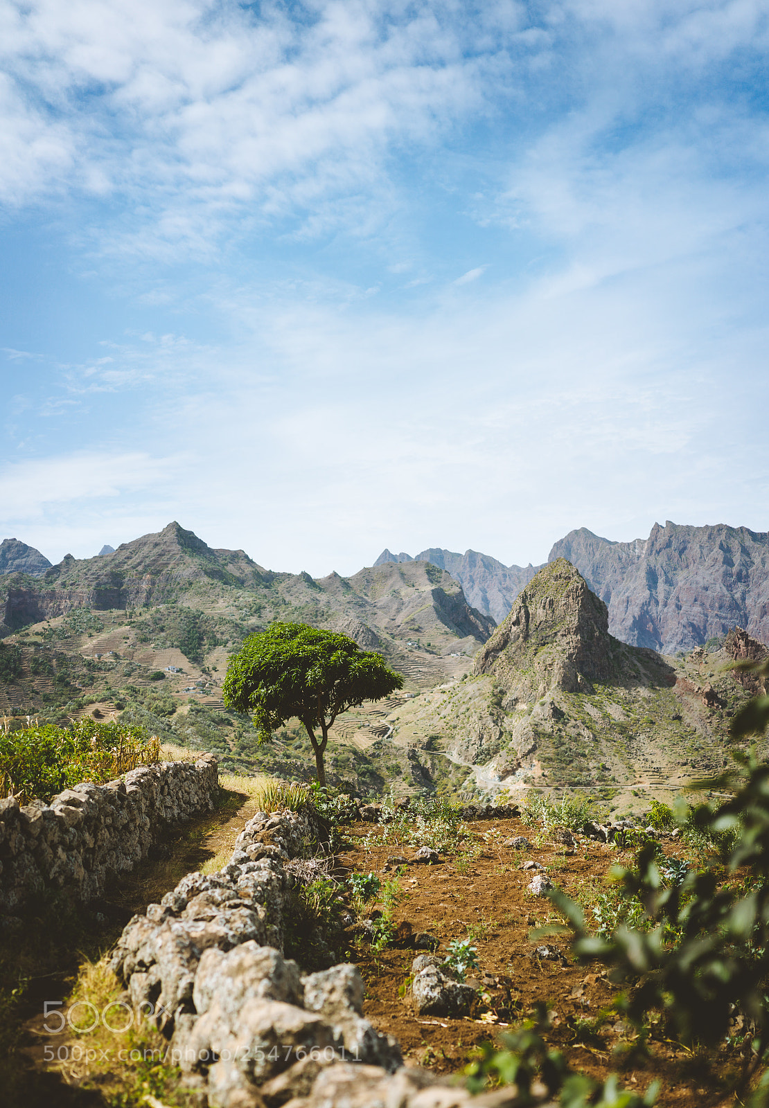 Sony a7 II sample photo. Hiking trail leading through photography