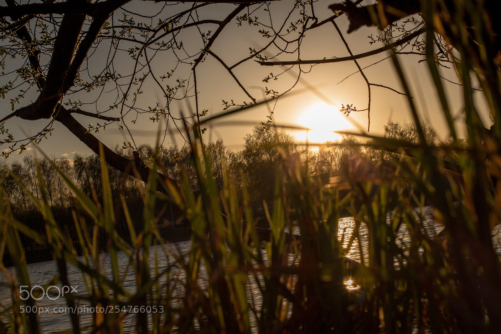Canon EOS 650D (EOS Rebel T4i / EOS Kiss X6i) sample photo. Sunset photography