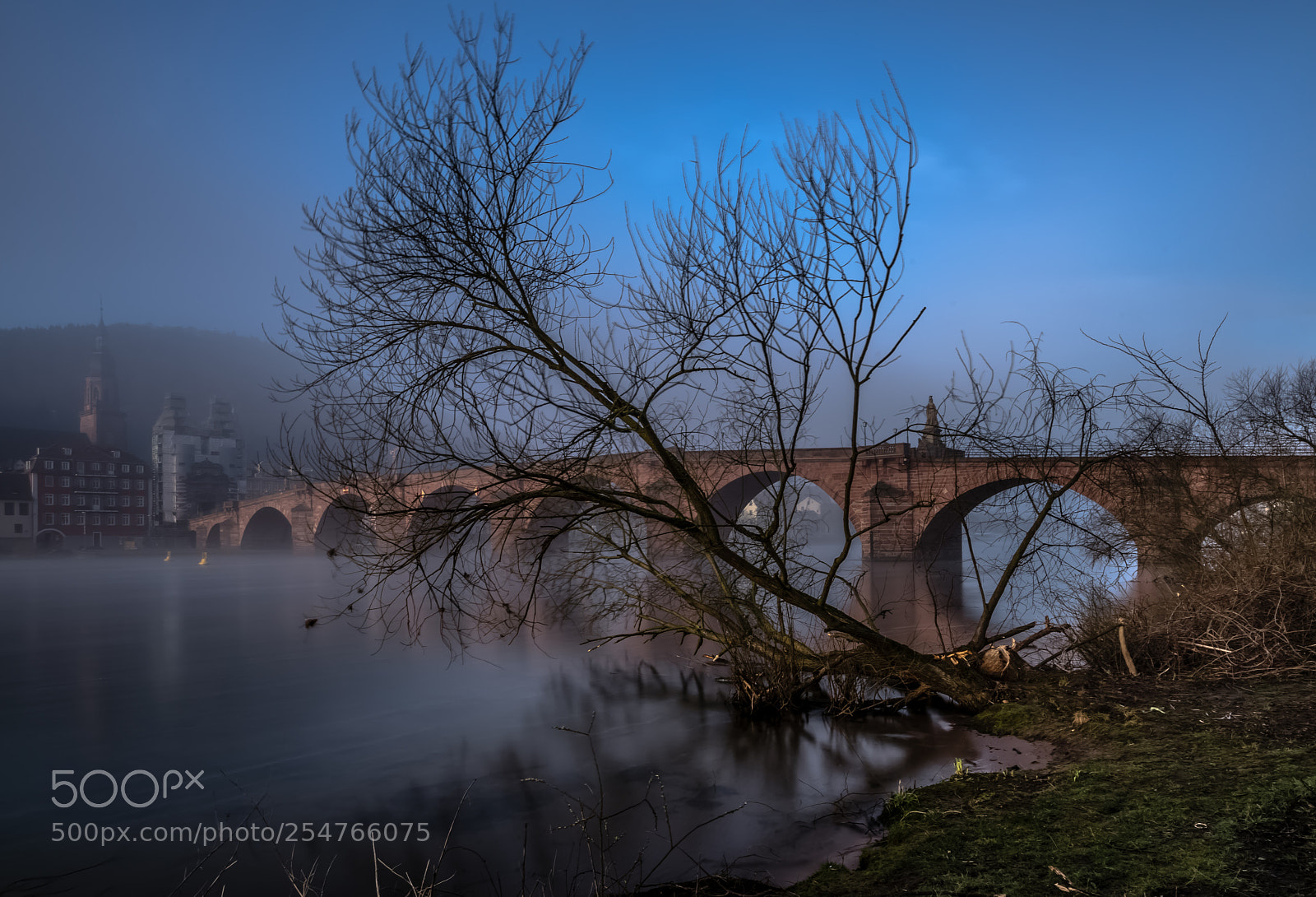 Canon EOS 5D Mark IV sample photo. Misty morning, heidelberg, germany photography