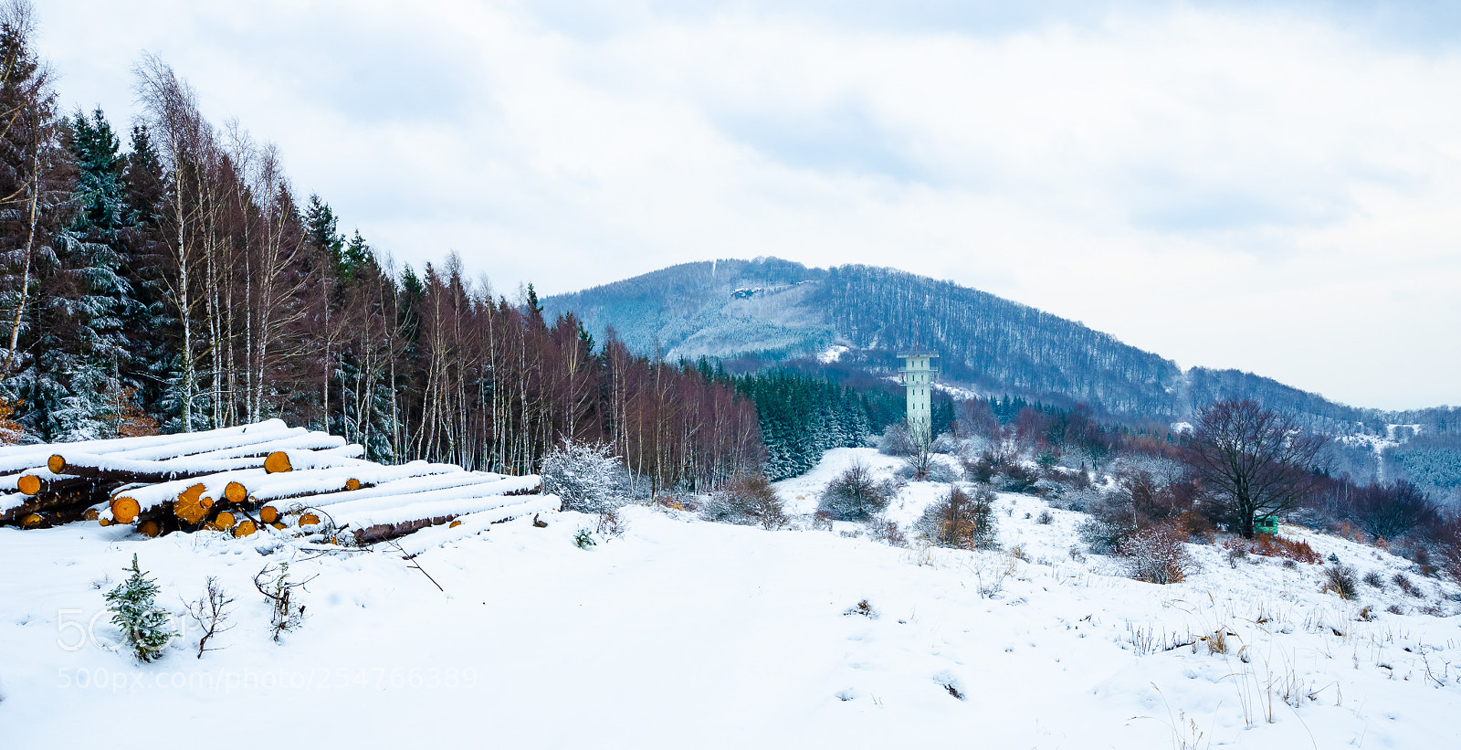Nikon D7000 sample photo. End of winter photography