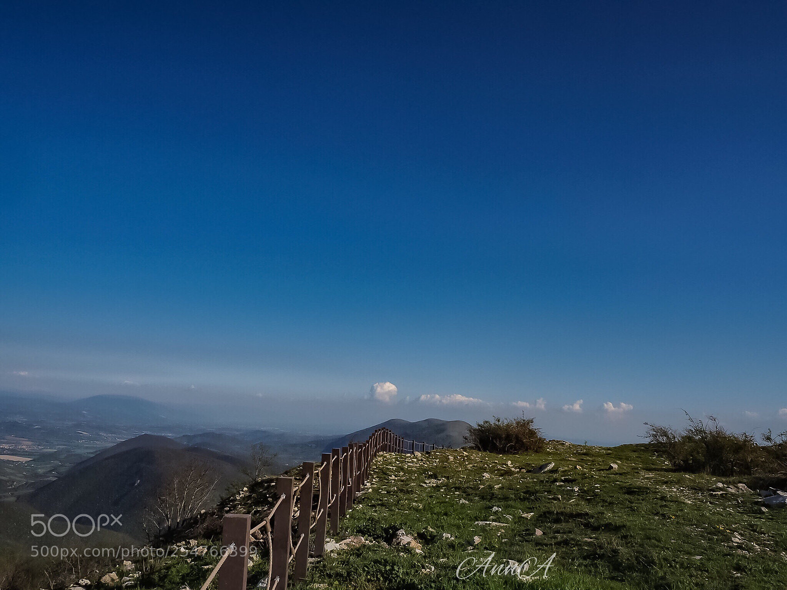 Olympus OM-D E-M10 II sample photo. Up.... photography