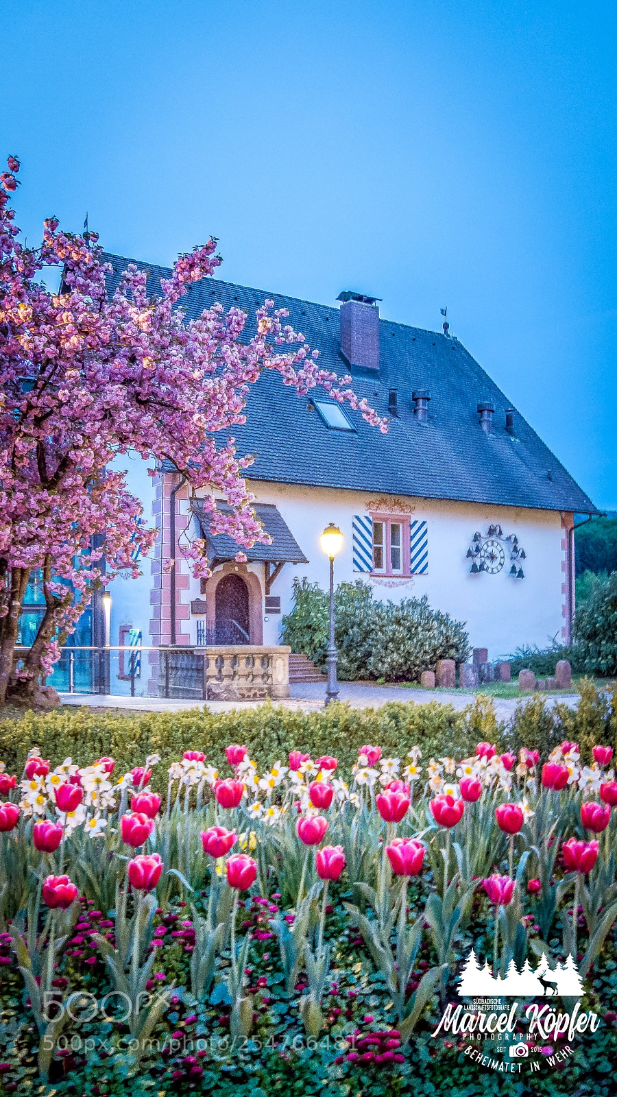 Nikon D5200 sample photo. Altes schloss in wehr photography