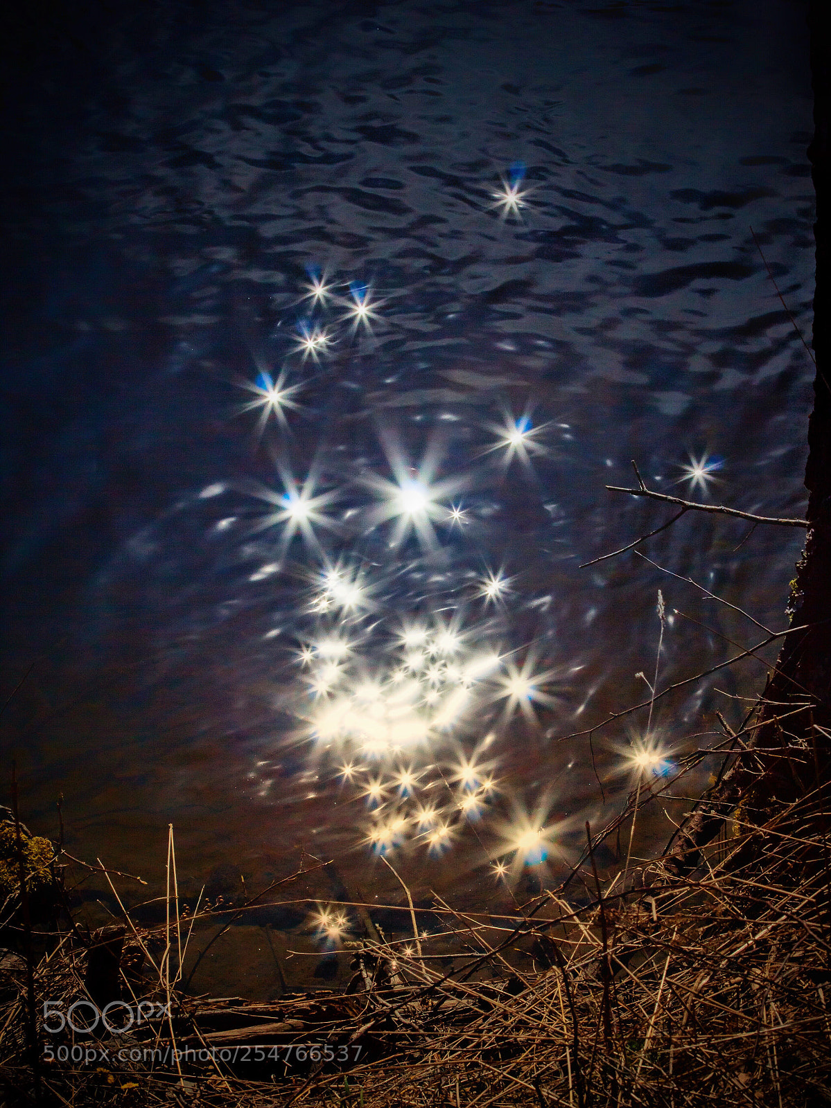 Canon EOS 60D sample photo. Sunstars in river  photography