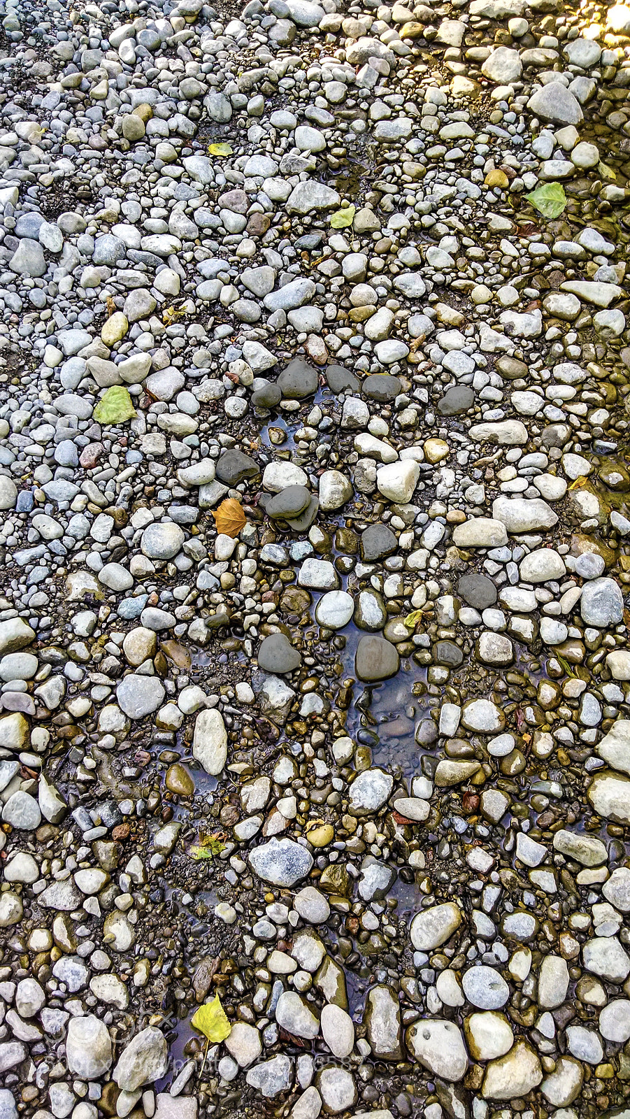 Motorola Moto X (1st Gen) sample photo. Rocks on the ground photography
