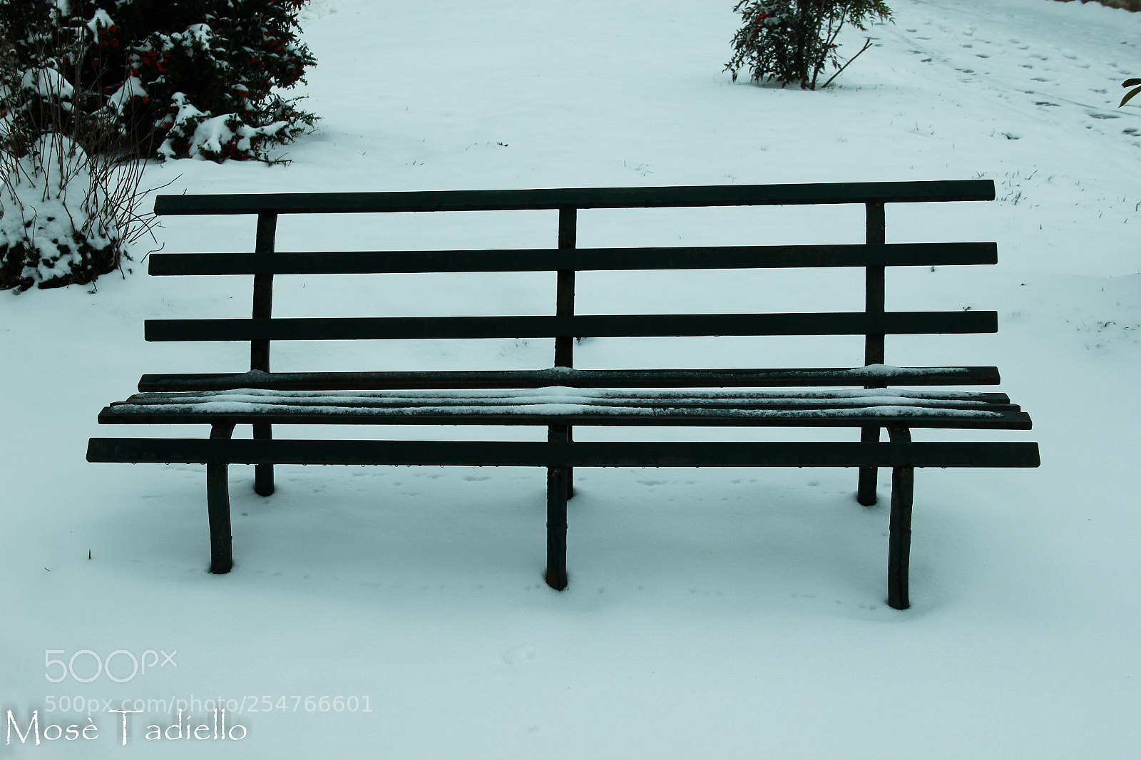 Canon EOS 550D (EOS Rebel T2i / EOS Kiss X4) sample photo. The bench photography