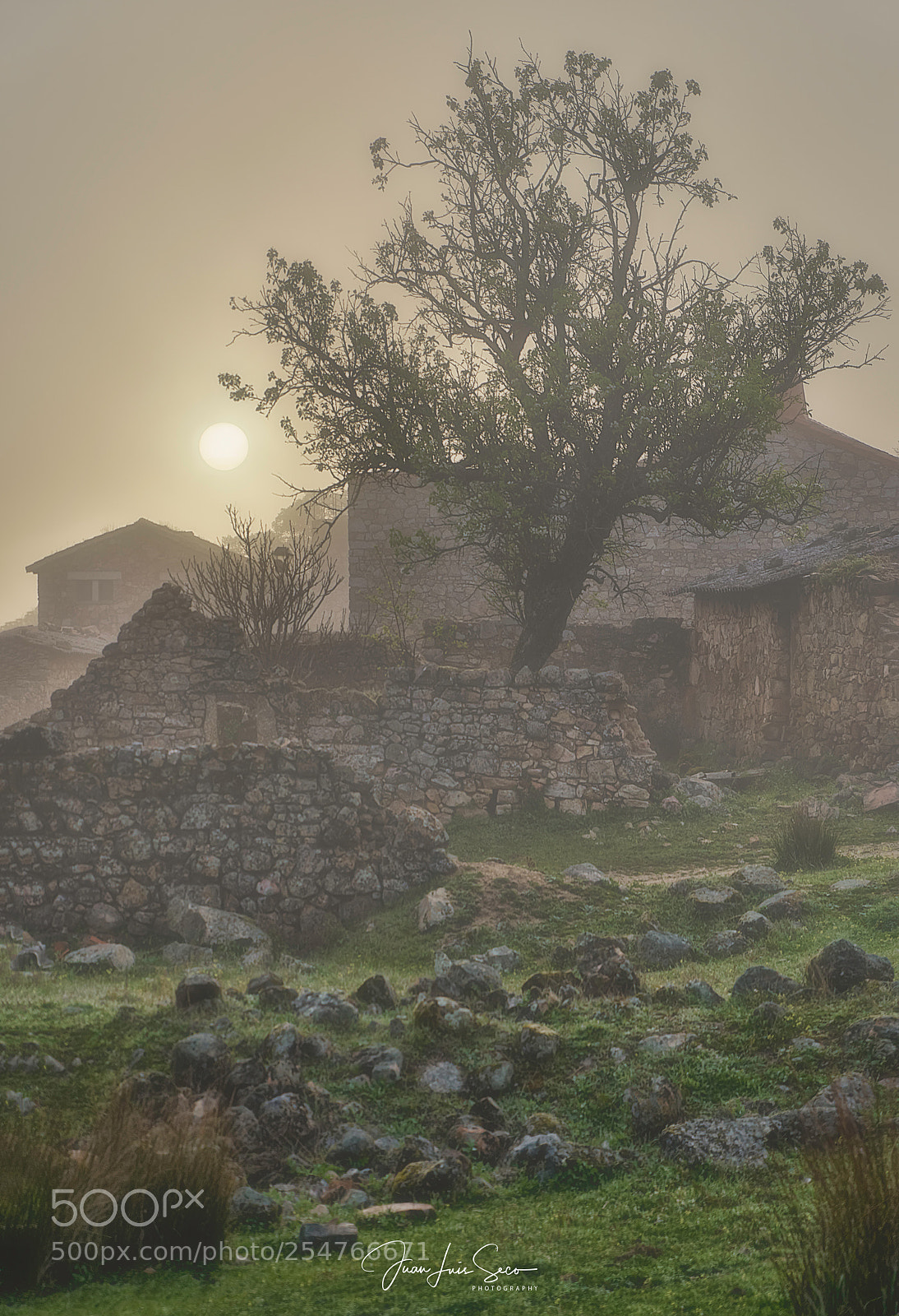 Nikon D810 sample photo. Amanecer entre brumas... photography