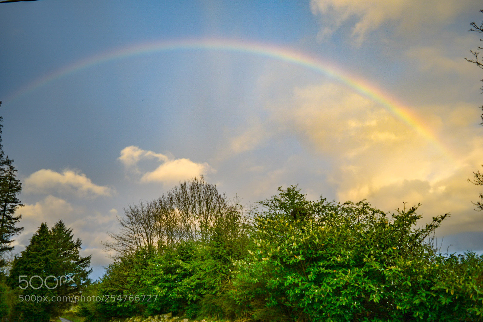 Nikon D5300 sample photo. Lovely rainbow photography