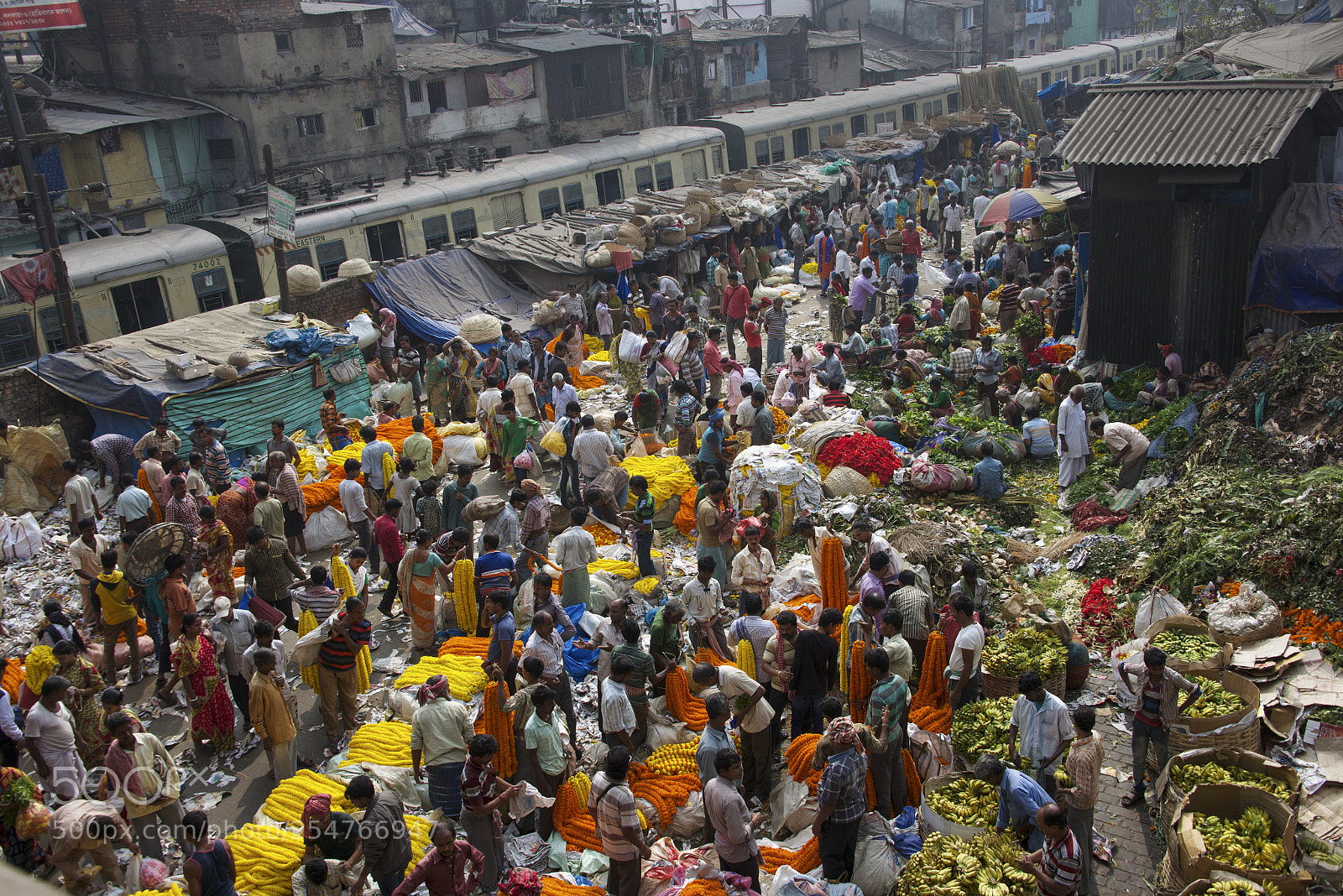 Nikon D800E sample photo. Flower market kolkata india photography