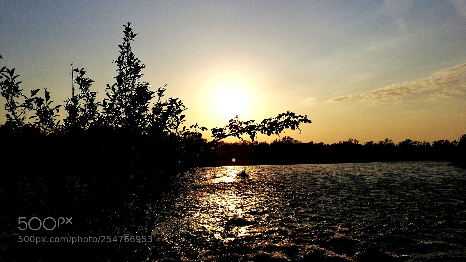 HUAWEI Honor 8 sample photo. Untitled photography