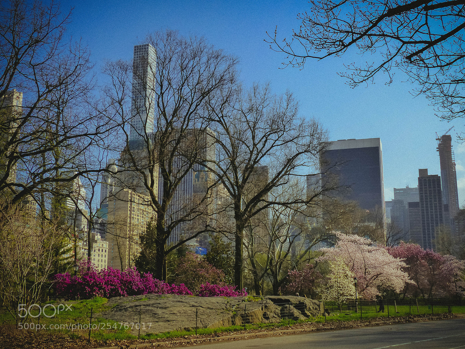 Panasonic Lumix DMC-FZ200 sample photo. Central park photography