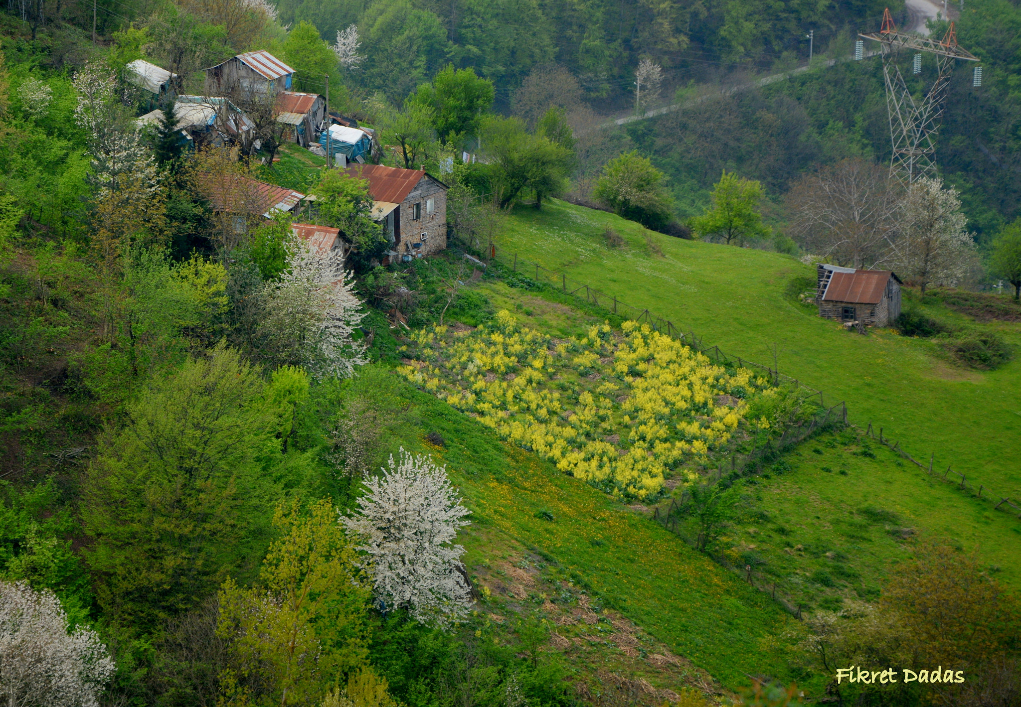 Nikon D7100 sample photo. Vatan photography