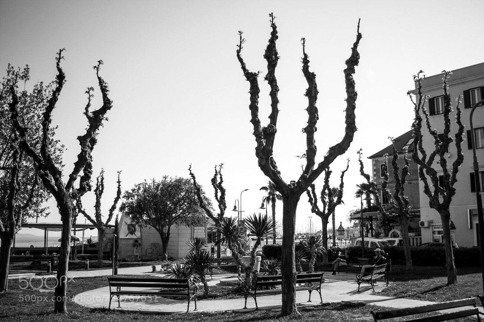 Canon EOS 5D Mark II sample photo. Forks photography