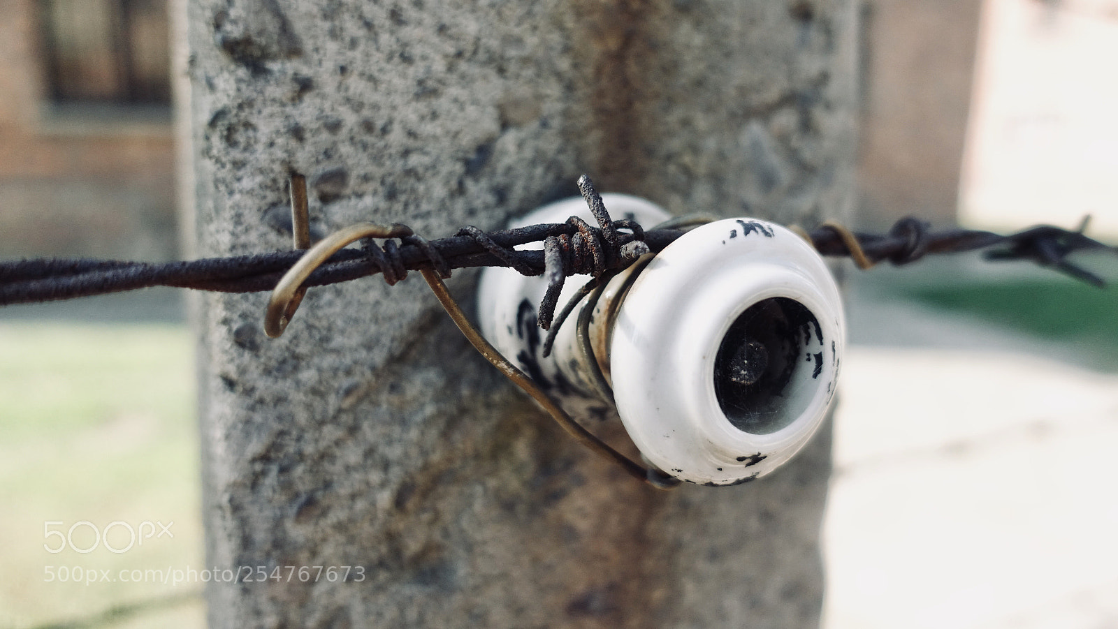 Sony DSC-RX100M5 sample photo. Barbed wire photography