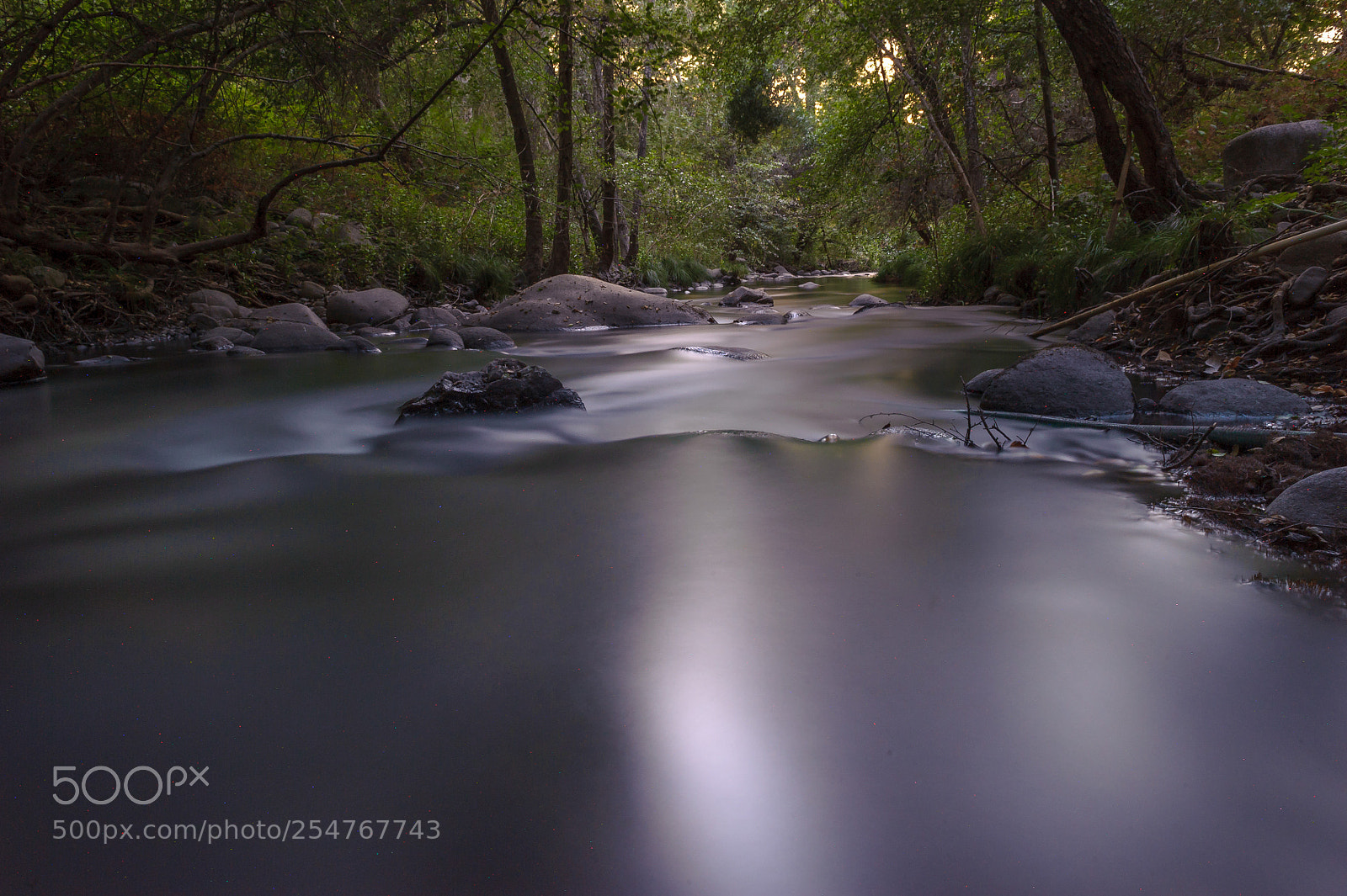Nikon D700 sample photo. Quicksilver river photography