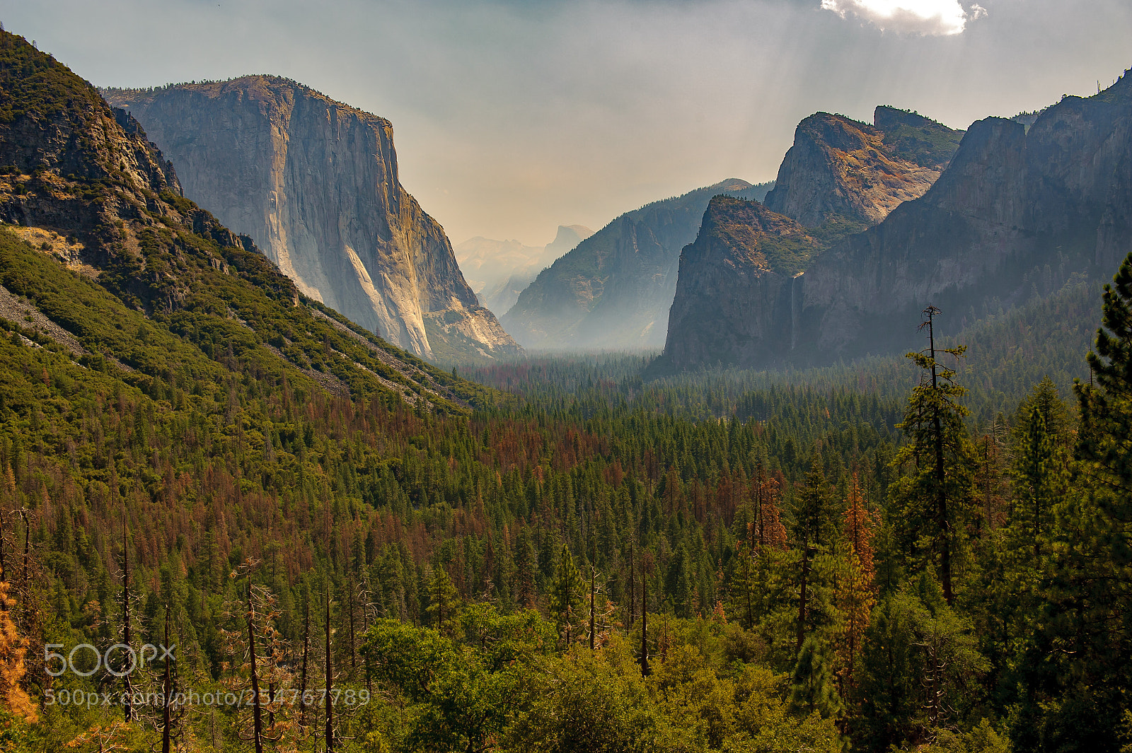 Nikon D700 sample photo. Morning over yosemite valley photography