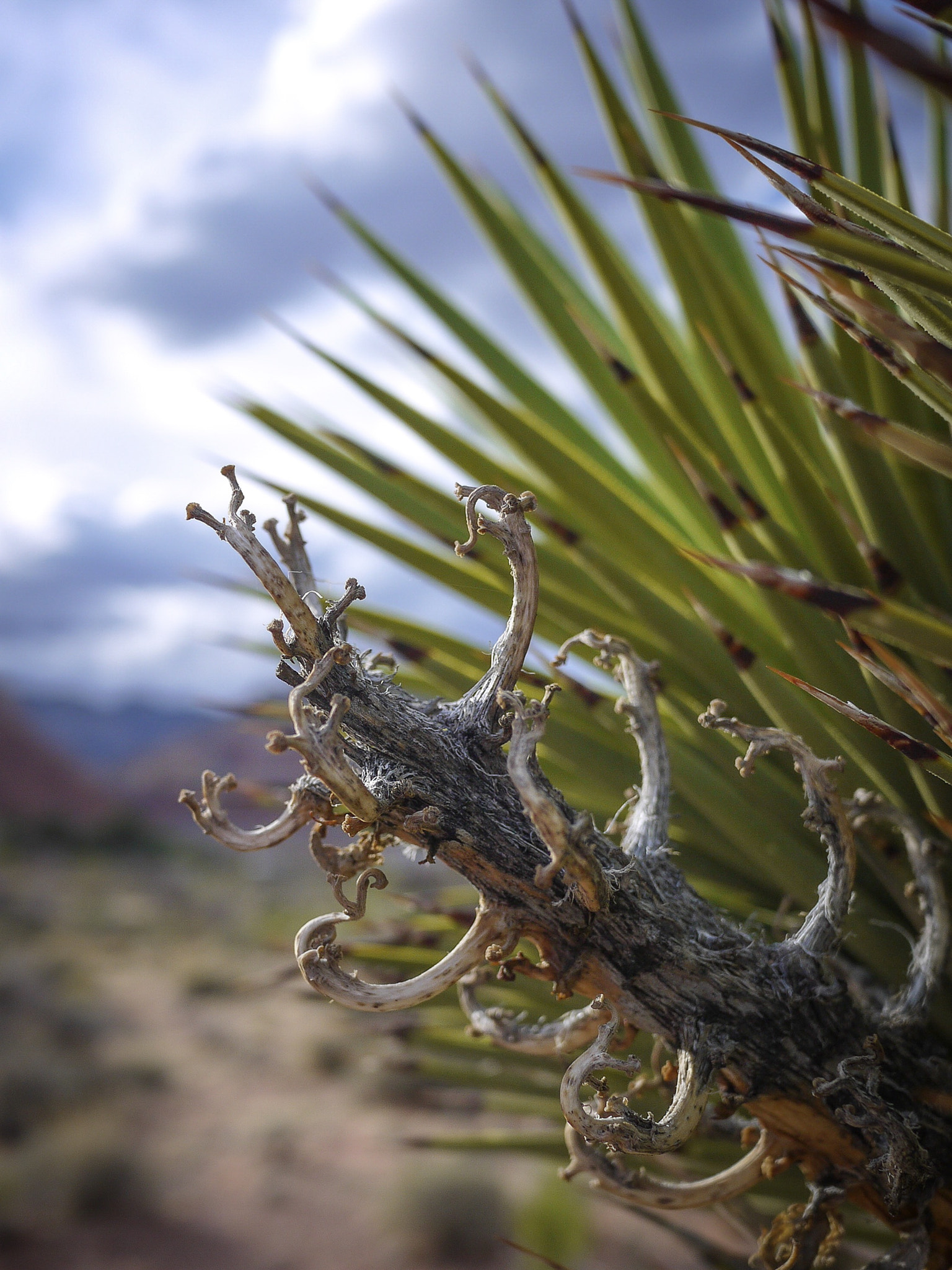 Panasonic Lumix DMC-GF2 sample photo. Red rock canyon, las vegas, nv photography