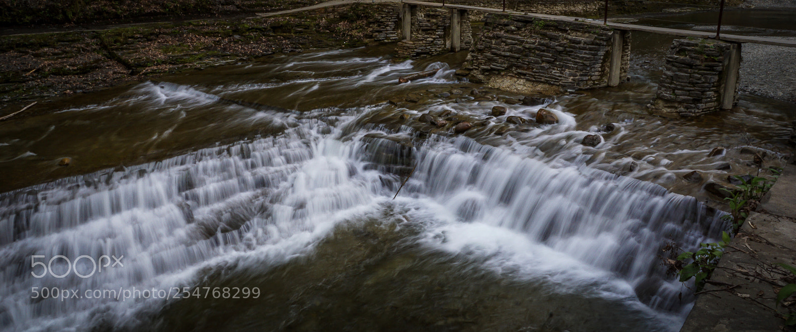 Sony ILCA-77M2 sample photo. Robert truman state park photography