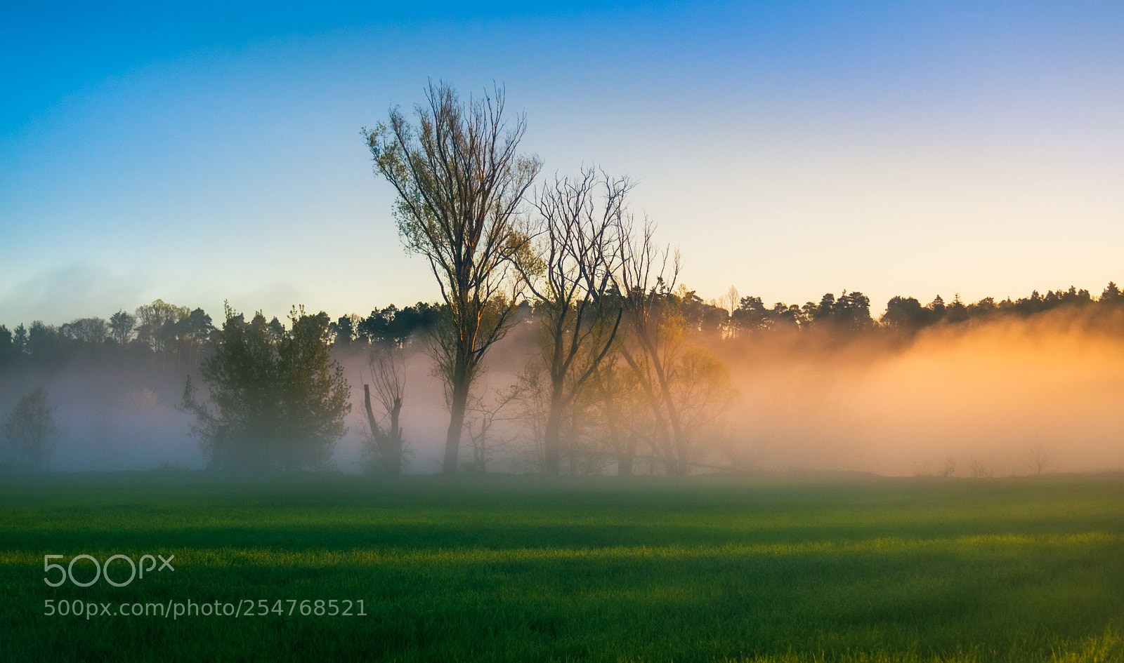 Olympus PEN E-PL6 sample photo. Beautiful morning photography