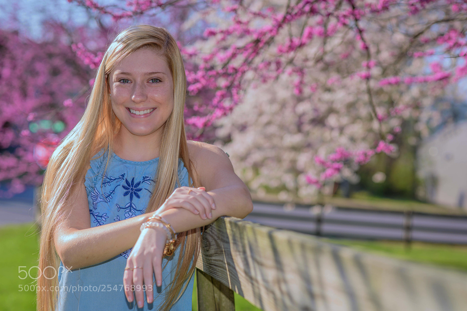 Nikon D810 sample photo. Spring is here photography