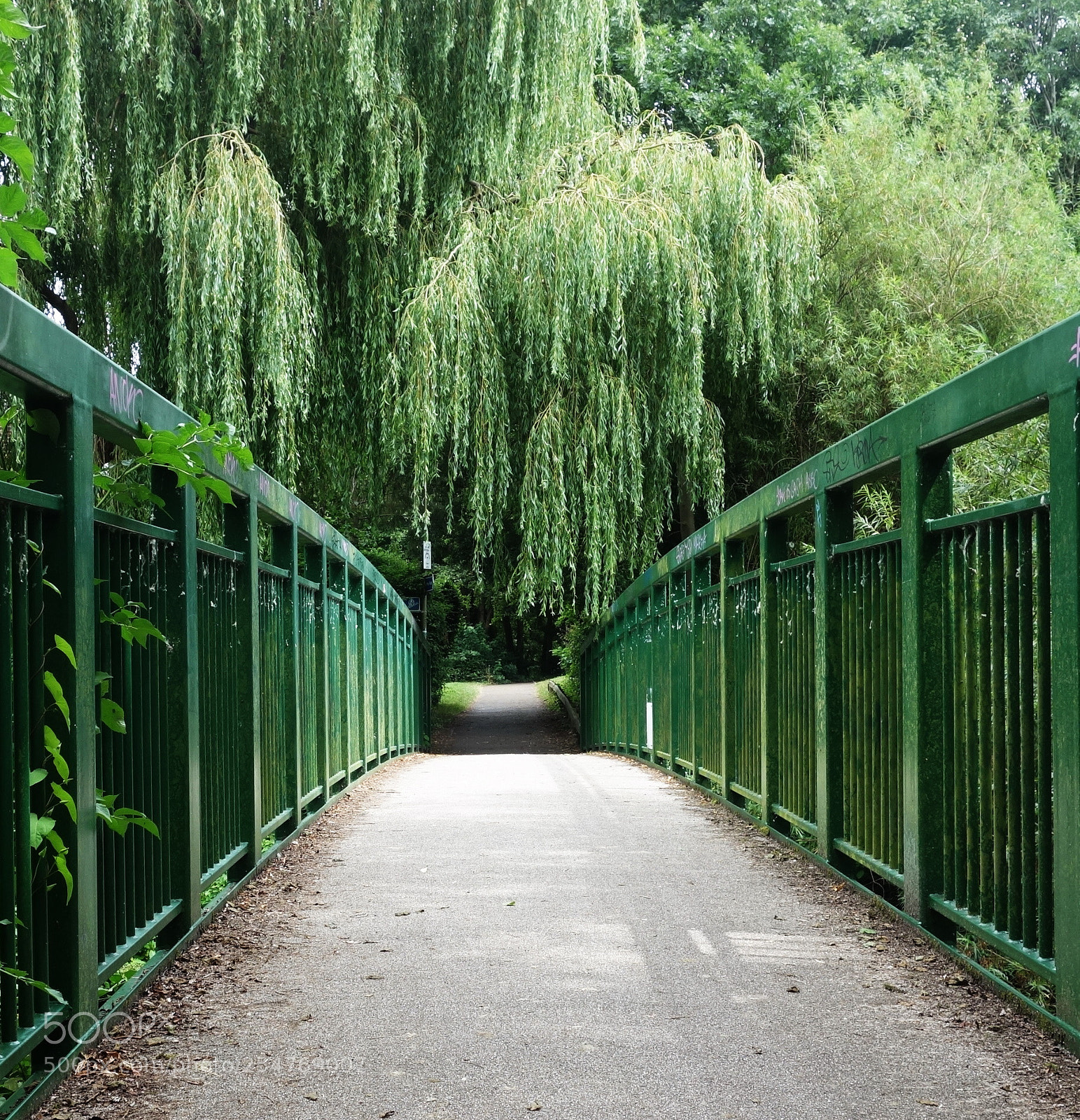 Sony Cyber-shot DSC-RX100 sample photo. The oxford canal, uk photography