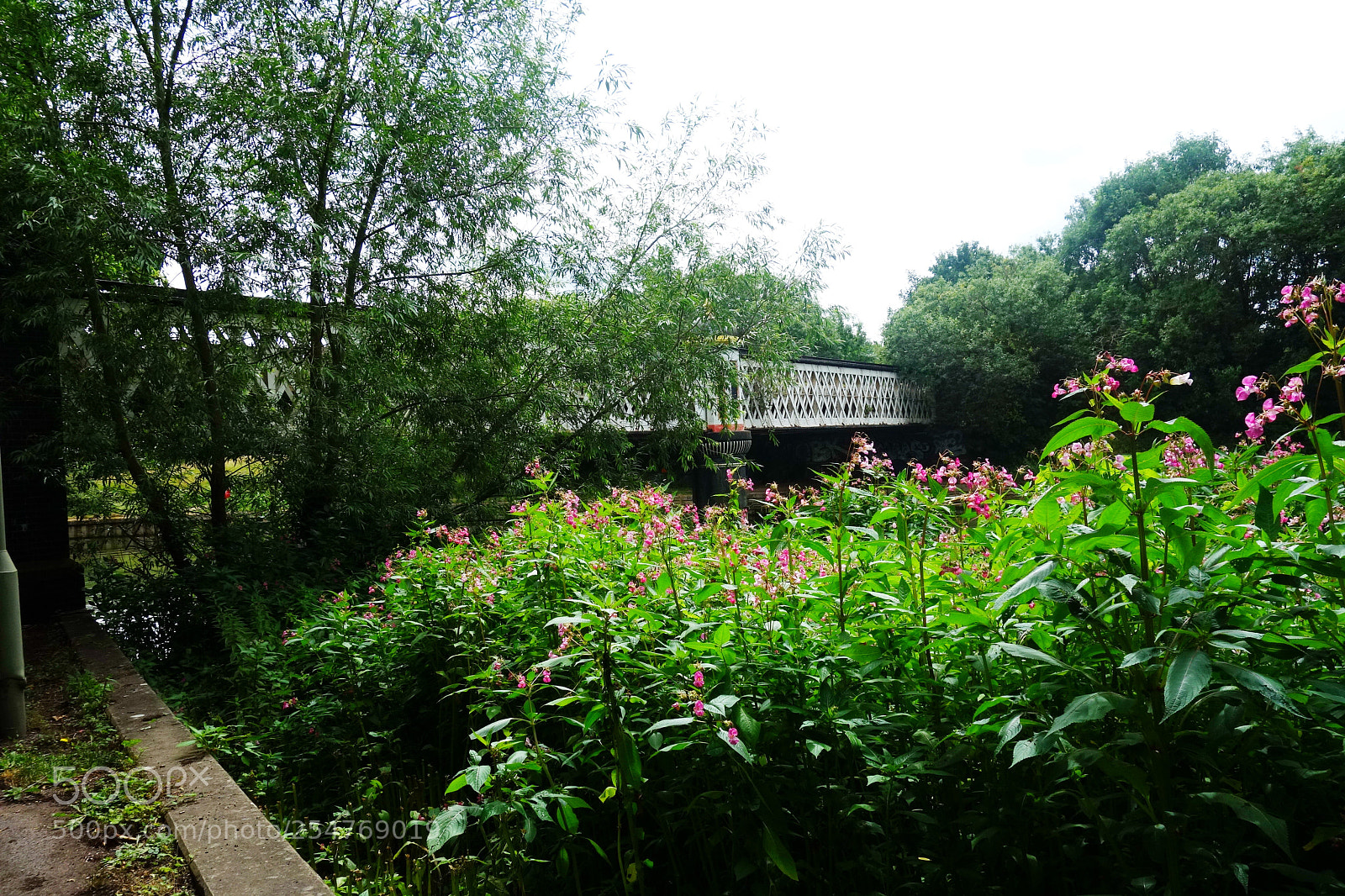 Sony Cyber-shot DSC-RX100 sample photo. The oxford canal, uk photography