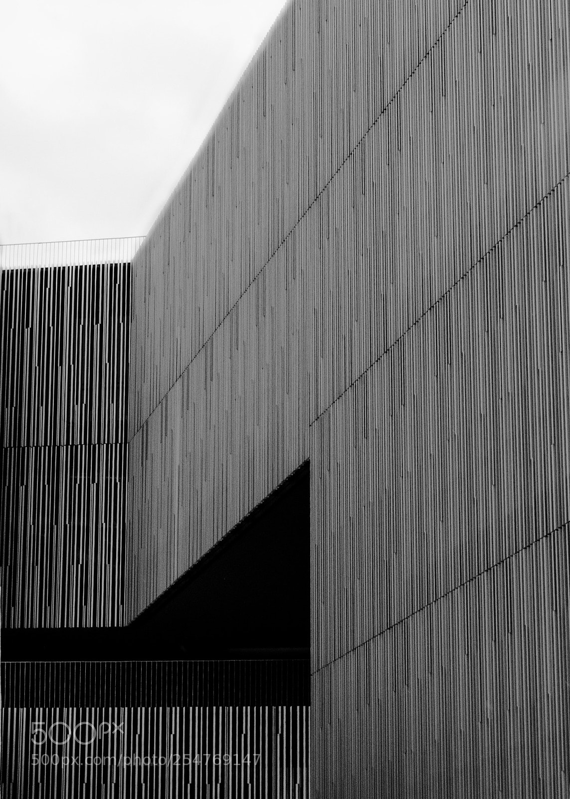 Nikon D5100 sample photo. Archimia photography