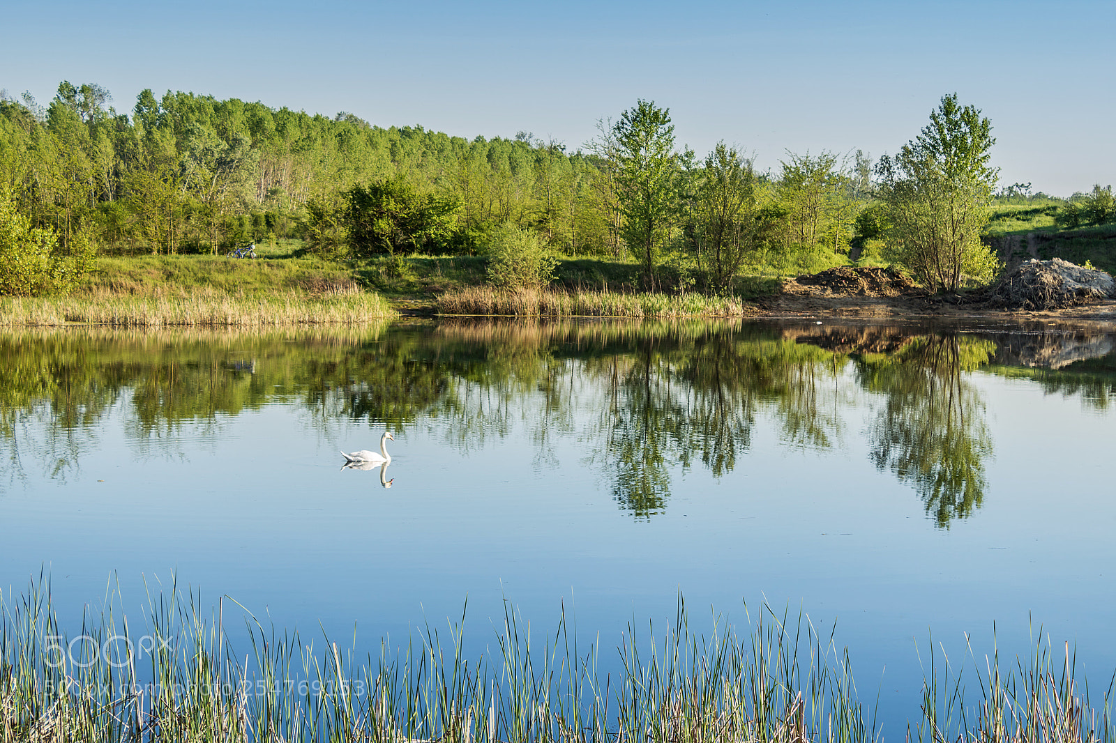 Canon EOS 750D (EOS Rebel T6i / EOS Kiss X8i) sample photo. Spring at the lake photography