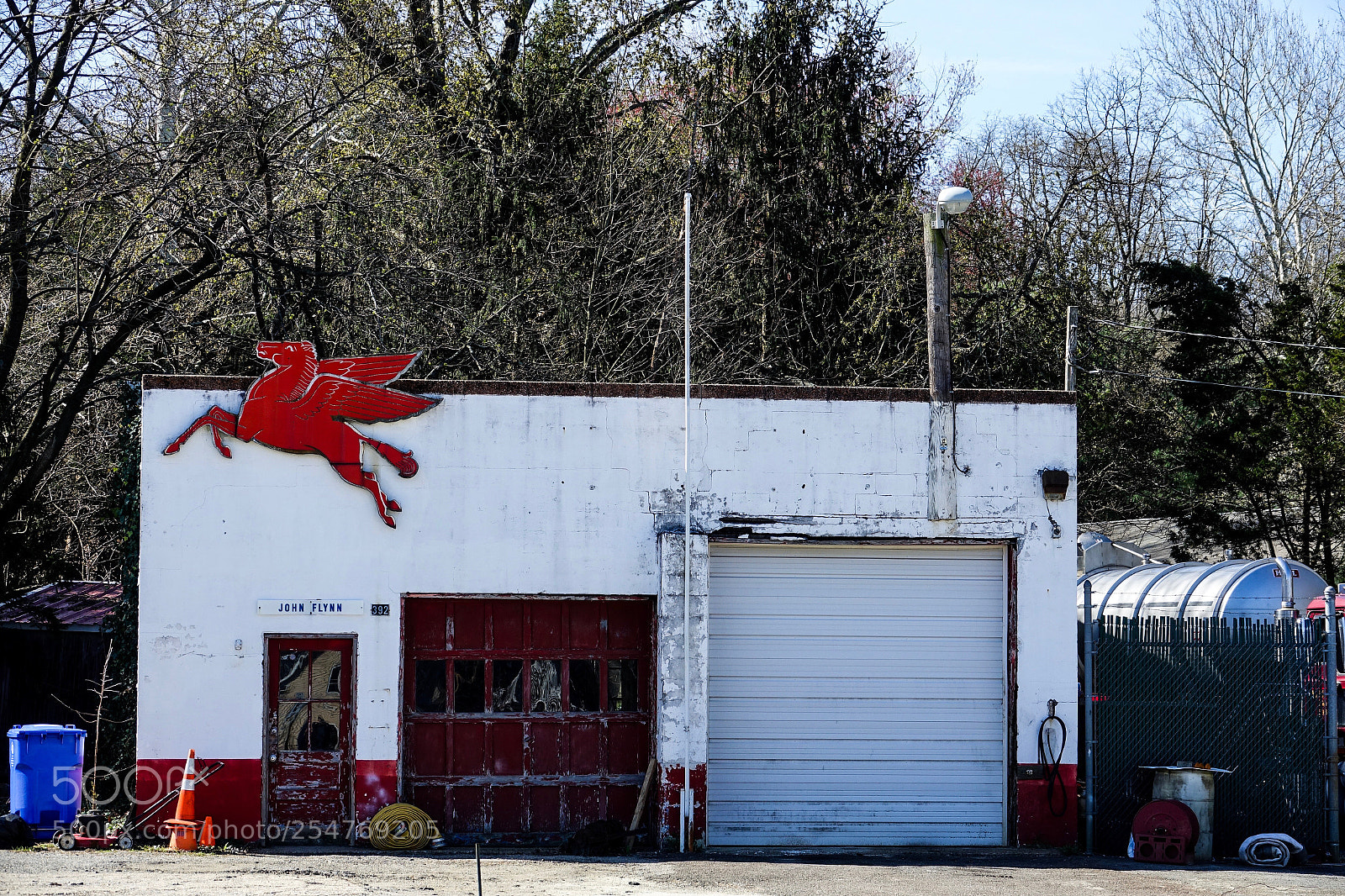 Sony Cyber-shot DSC-RX10 III sample photo. A rare sighting photography