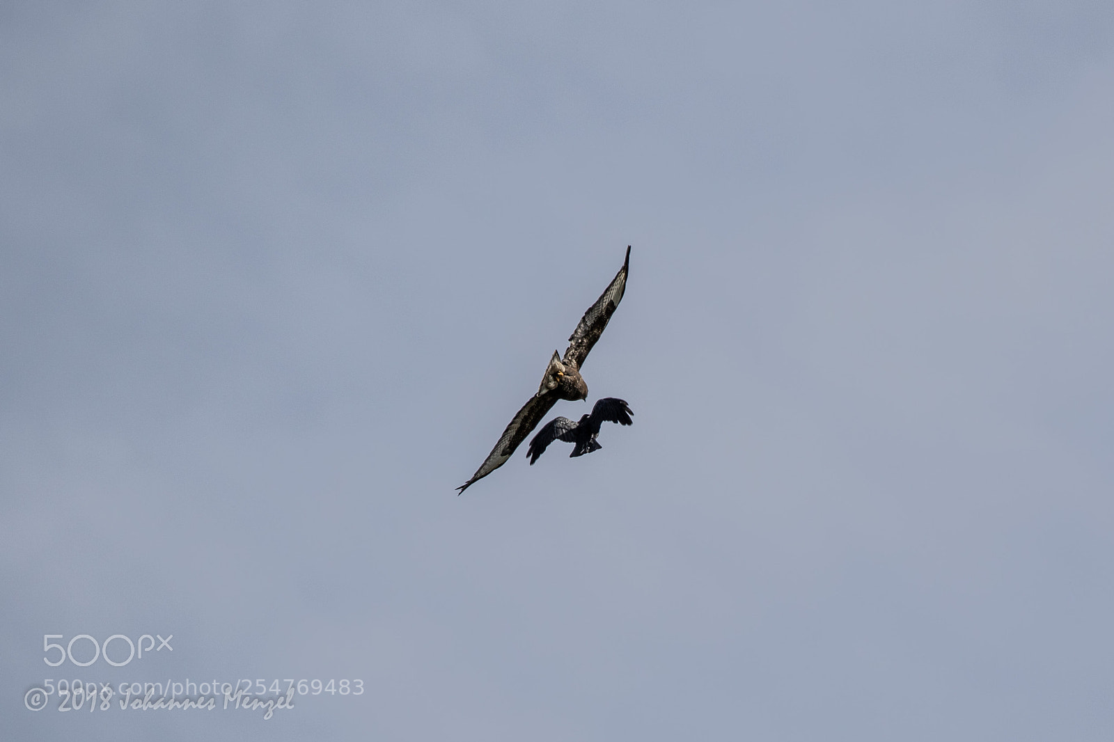 Canon EOS 7D Mark II sample photo. Air combat photography
